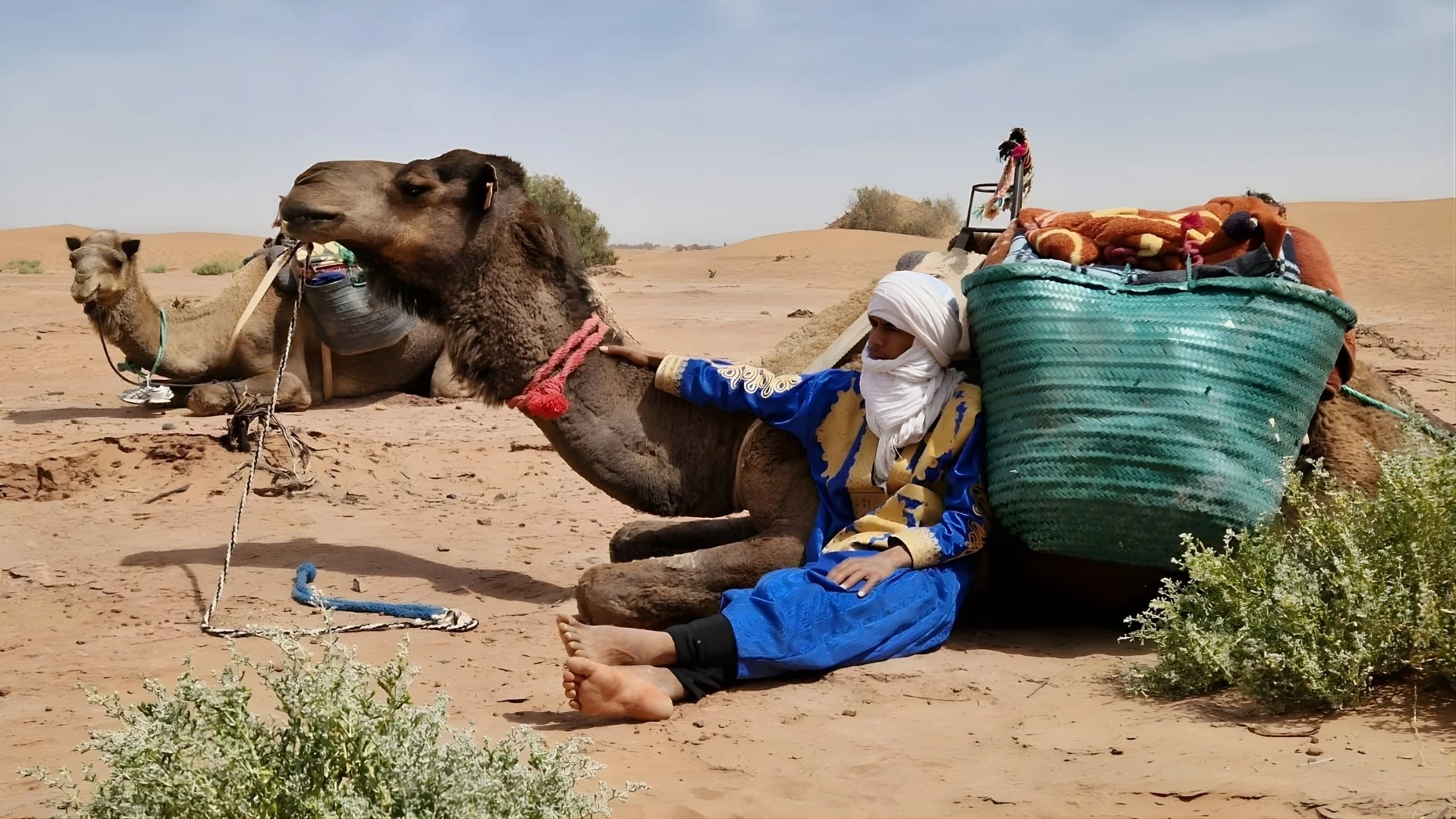 Blue Men in the desert with the camels