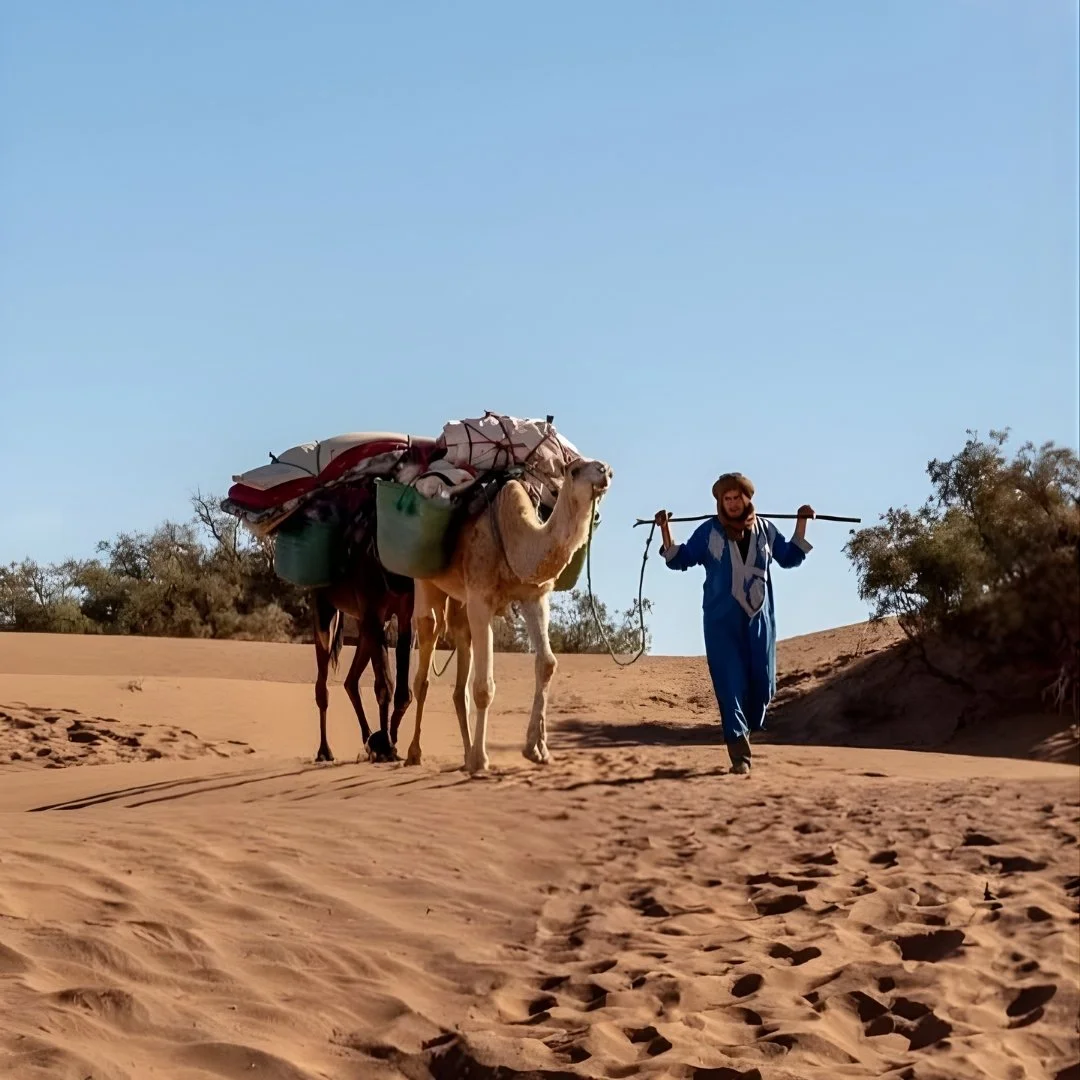 A man beside a camel in the desert of Morocco