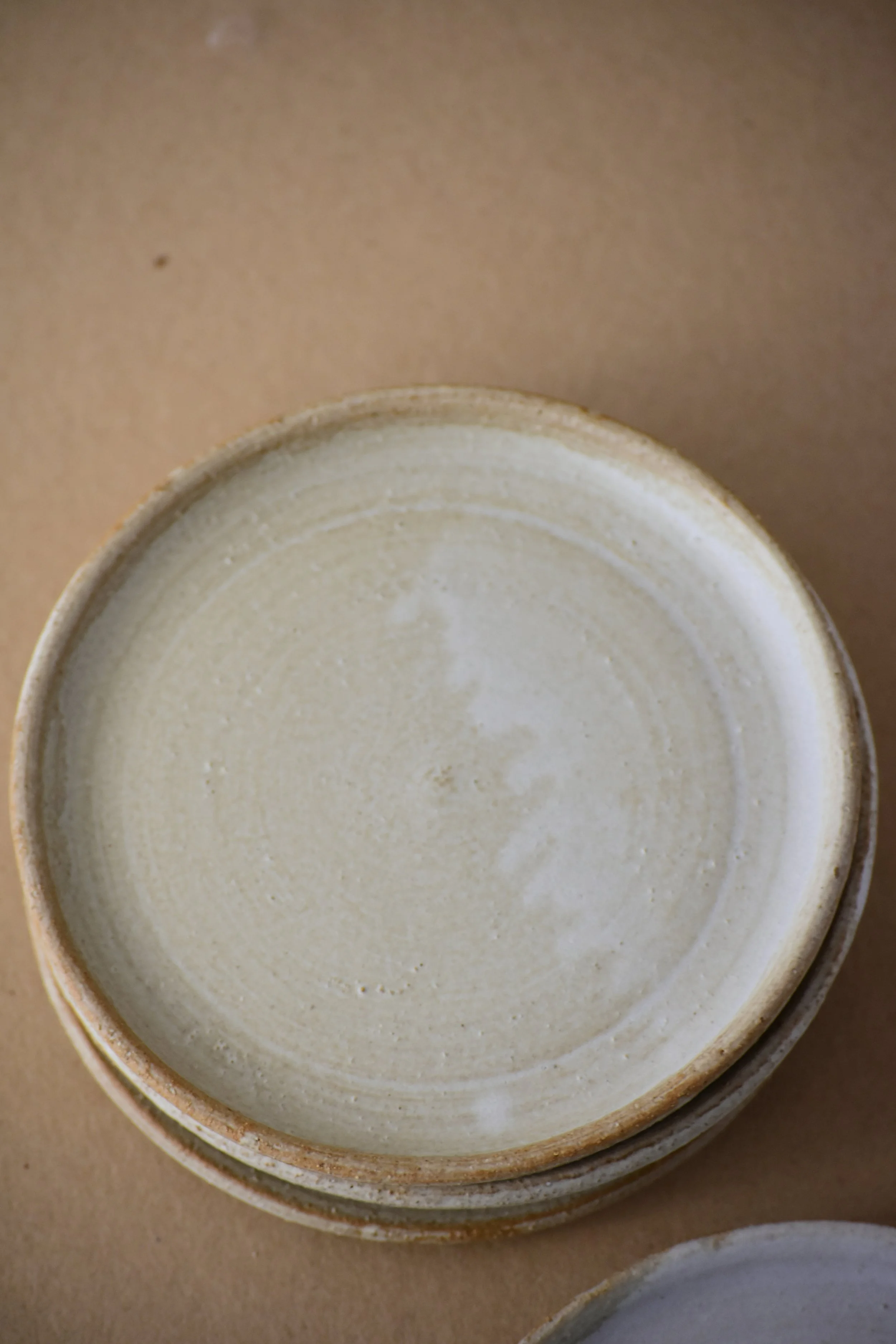 DSC_9520.JPG