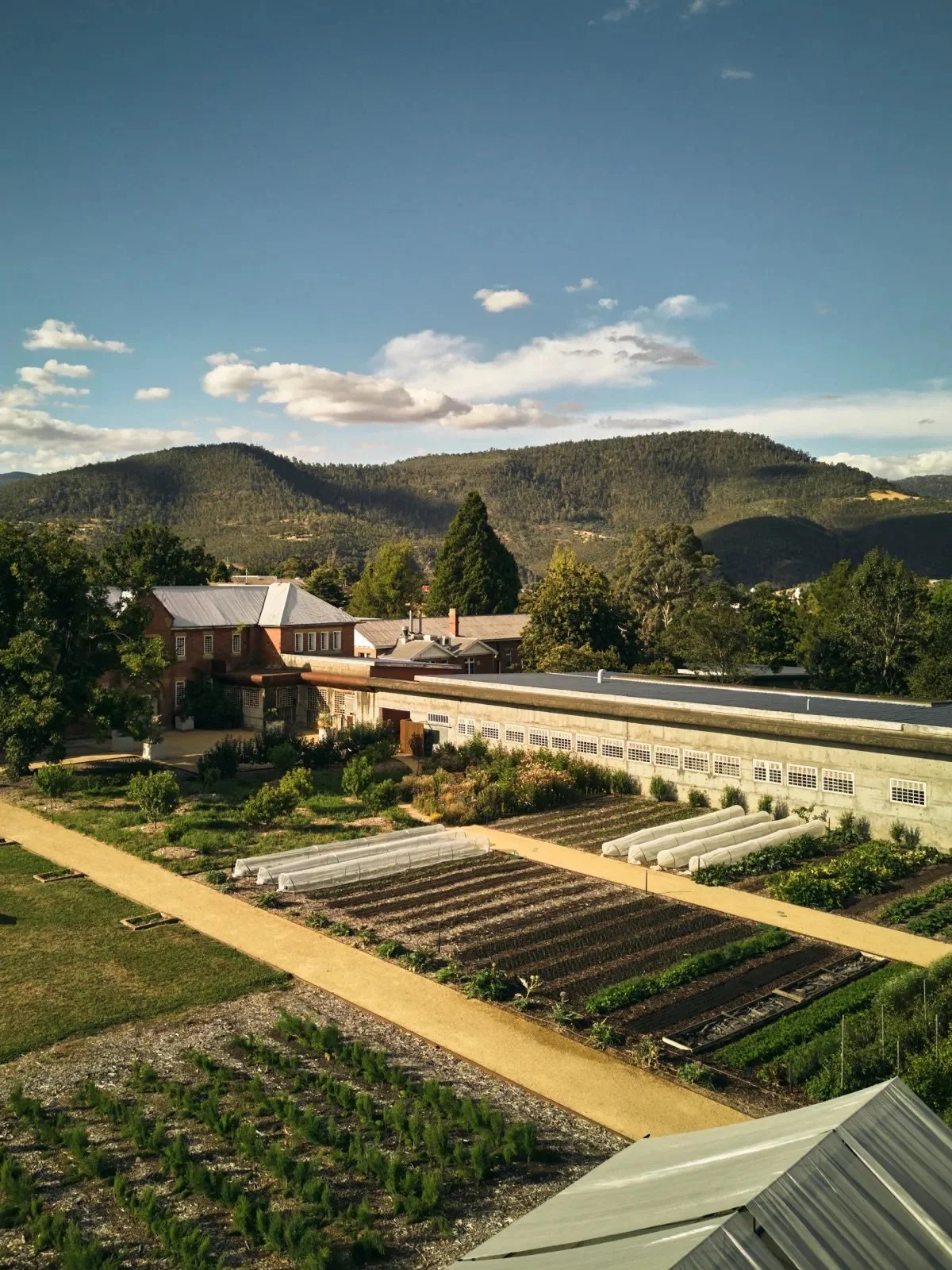 The Agrarian Kitchen, photo by Luke Burgess for Australian Traveller.jpeg