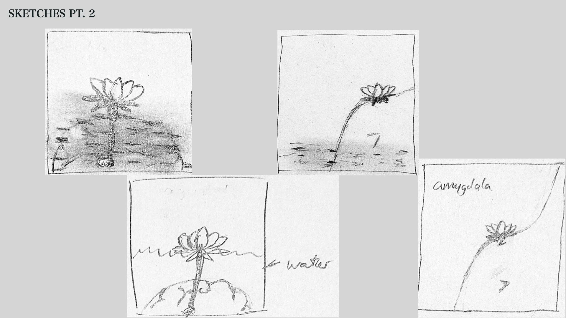 Vinyl Record Cover.005.jpeg