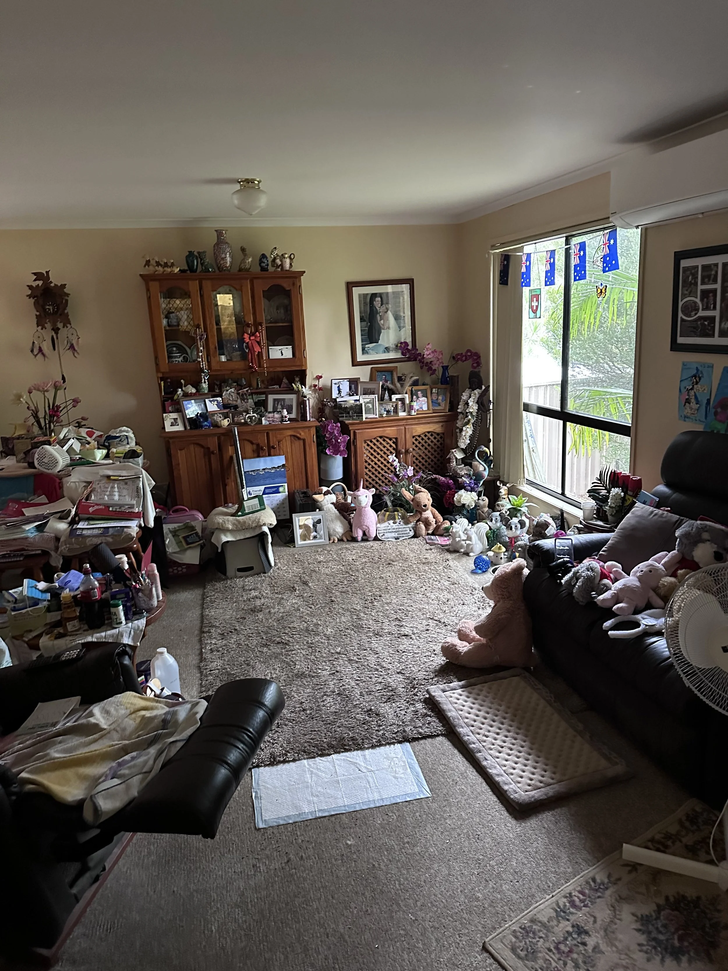 BEFORE: Property clear out, internal painting, down light conversion, new carpet, new window furnishings, styling for real estate