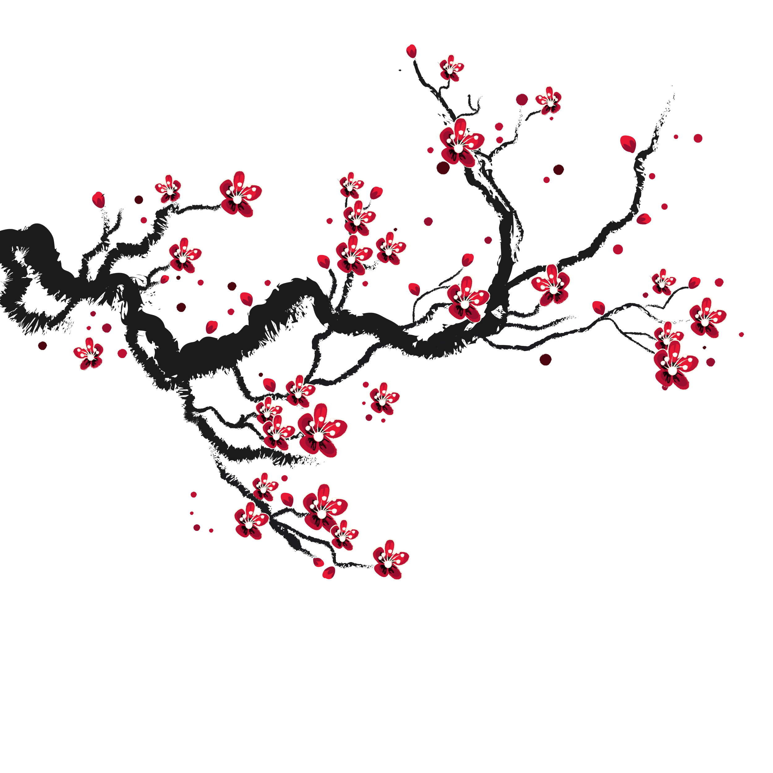 Eine künstlerische Illustration eines blühenden Kirschbaumzweigs mit roten Blumen auf schwarzem und weißem Hintergrund.