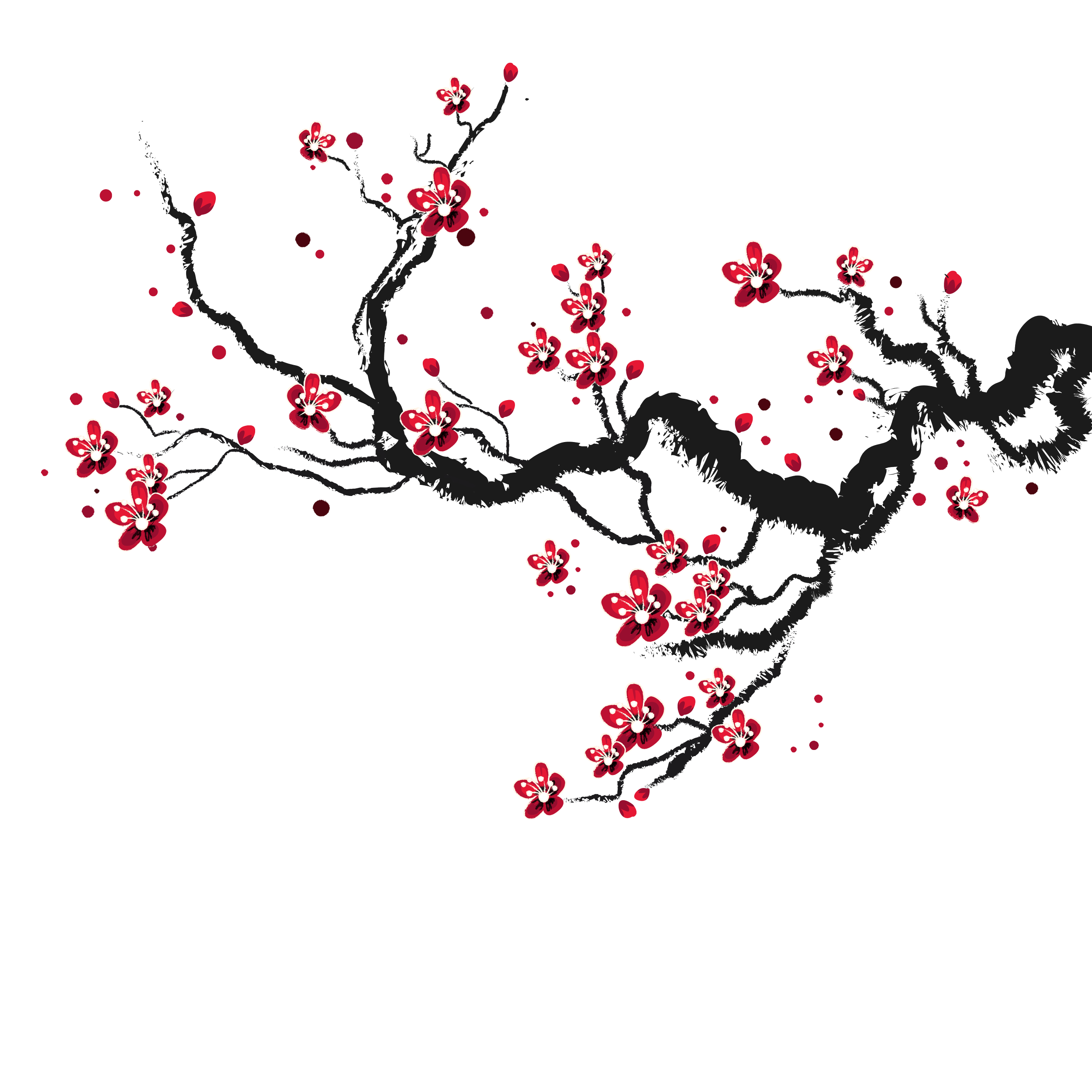 Eine schwarze Astgabel mit roten Blüten, die an Kirschblüten erinnern.