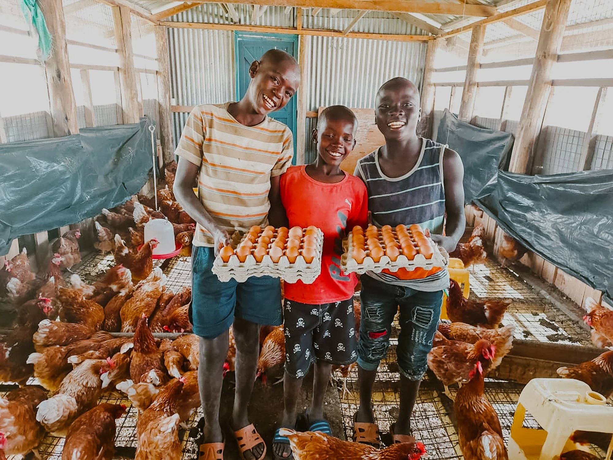 Three children inside a chicken farm each holding a tray of eggs, surrounded by chickens and a chicken coop structure.