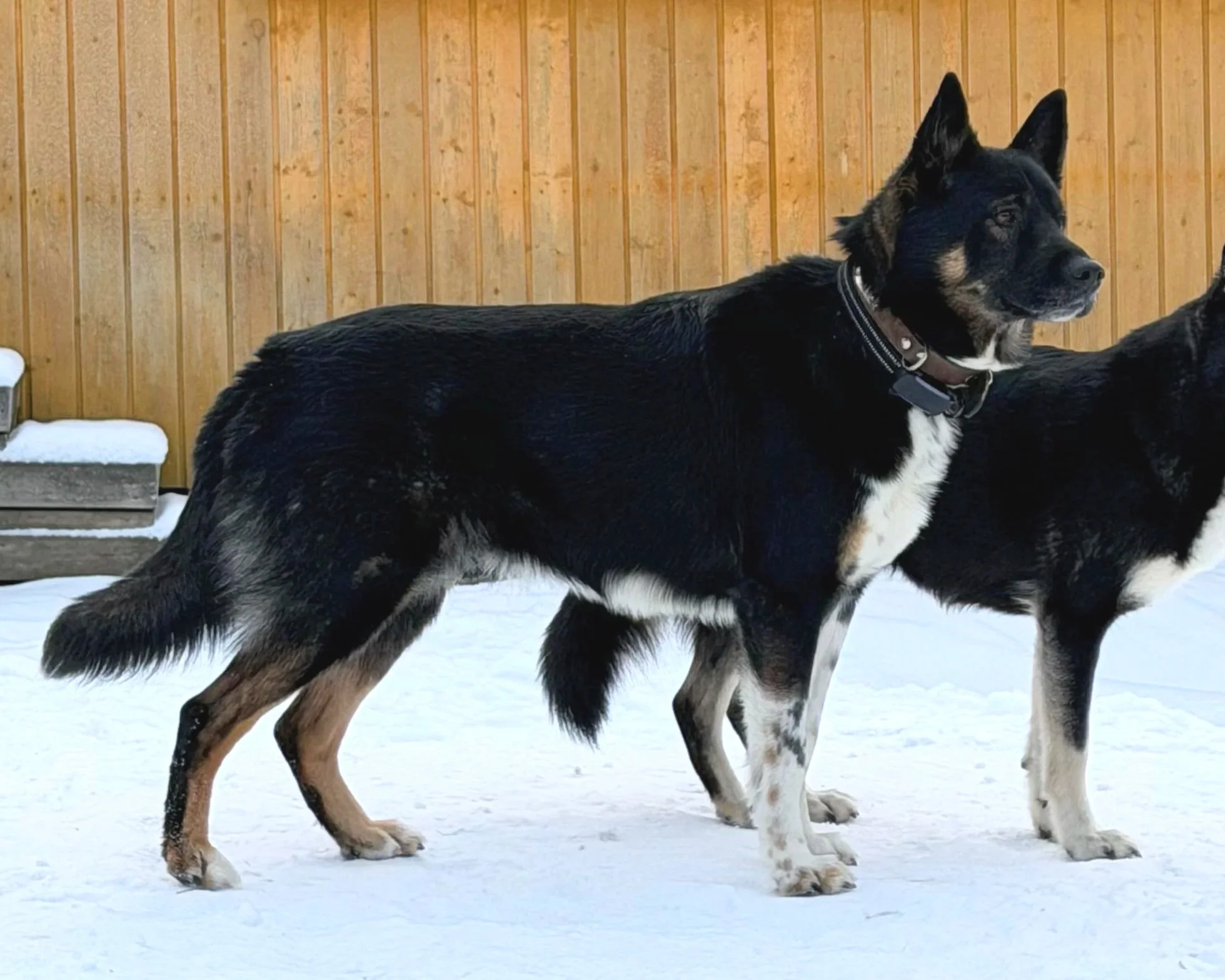 Kuva Henna Seppänen