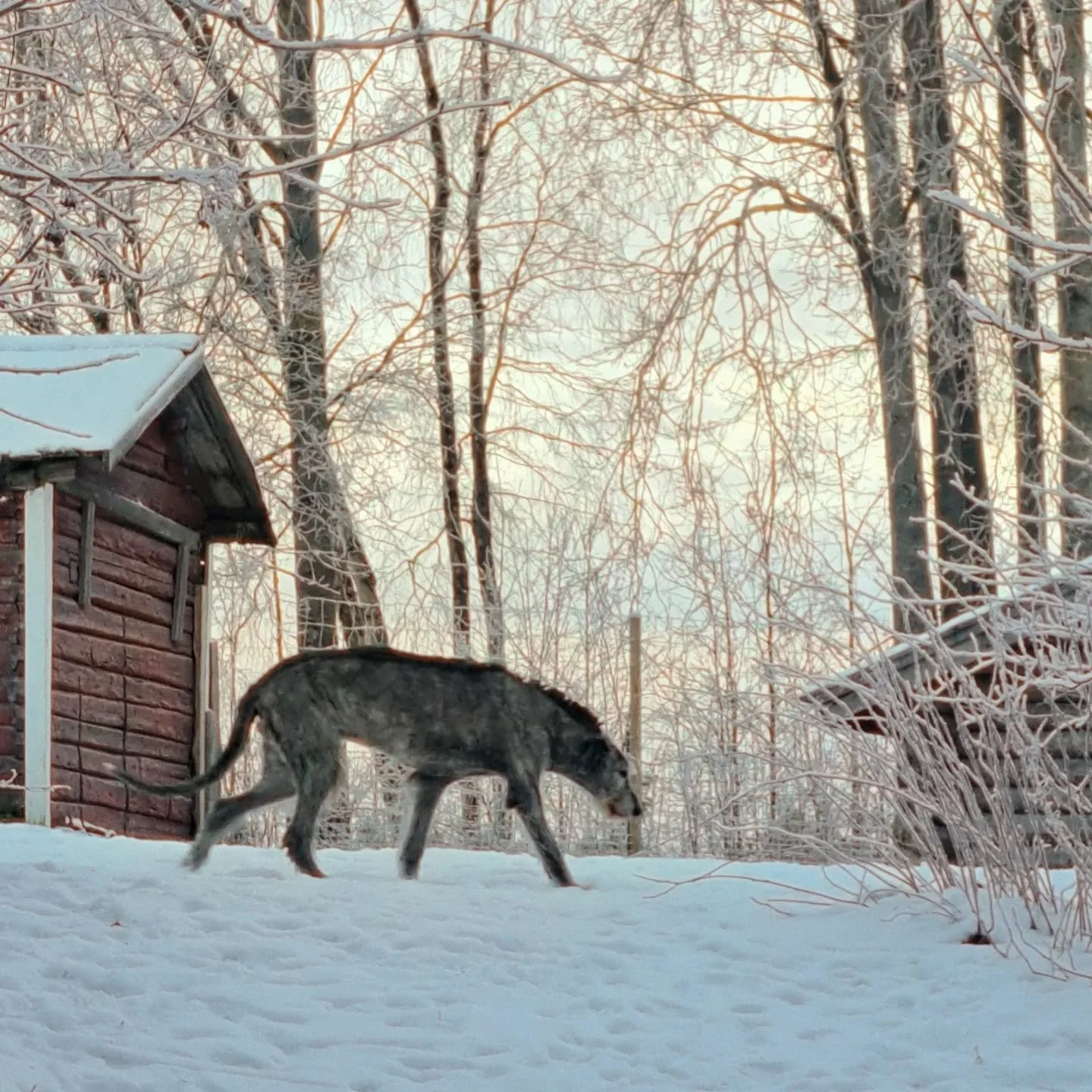 Arvoisat asiakkaamme ❤️

Nettisivumme ovat edelleen ty&ouml;n alla, mutta piakkoin ne valmistuvat 🙏 Kiitos @admacom_ yhteisty&ouml;st&auml;, tuskin maltamme odottaa, ett&auml; sivut valmistuvat. Tulee niist&auml; niin hienot ✨️

Nettisivumme ollessa