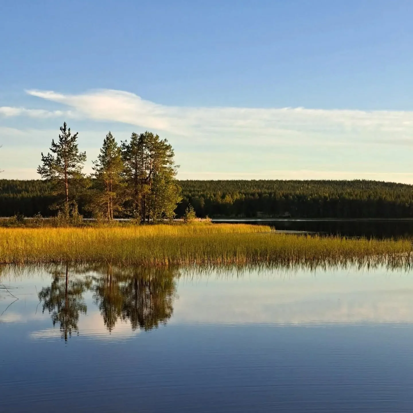 Koirahoitolamme v&auml;ki heng&auml;ht&auml;&auml; 16.-21.9.2025 v&auml;lisen ajan eli hoitola on suljettu tuolloin 👋

Emme ole tuona aikana puhelimitse tavoitettavissa, mutta tarkistamme s&auml;hk&ouml;postit ja viestit aina mahdollisuuksien mukaan