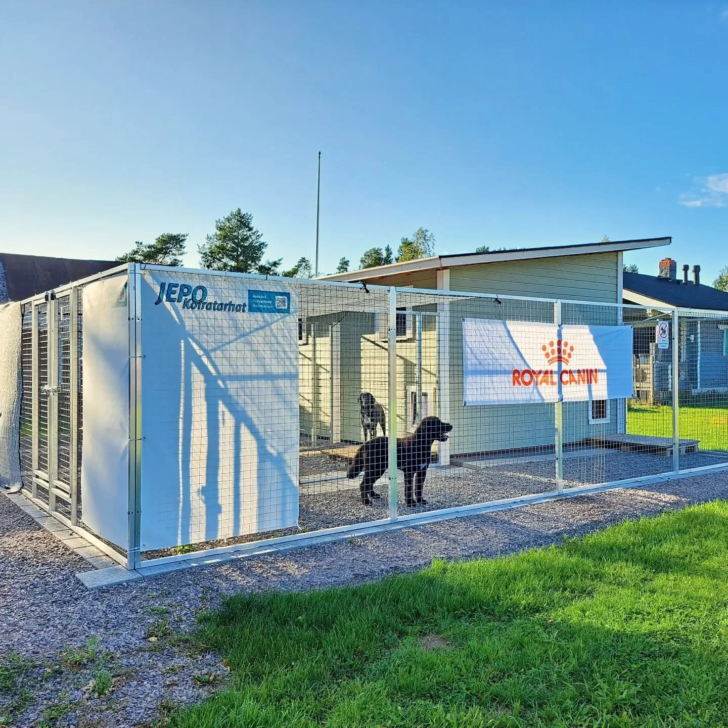 Nyt koiratarhat kuntoon ennen talven tuloa 👉

Koirahoitolamme k&auml;yt&ouml;ss&auml; ovat #JEPOkoiratarhat, joita voimme suositella l&auml;mpim&auml;sti. Voit tulla tutustumaan tarhoihin hoitolaamme 👌

JEPO koiratarha on kotimainen tuote. Koiratar