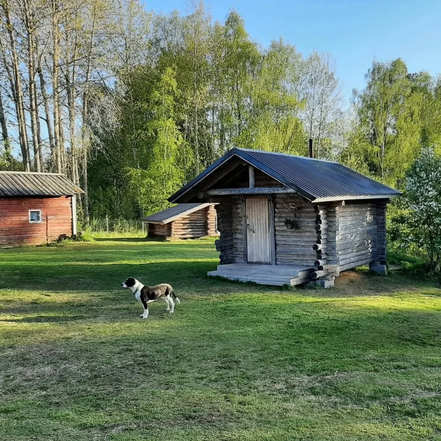 Kirjoitin t&auml;m&auml;n tekstin blogiini jo viisi vuotta sitten. T&auml;ss&auml; se uusintana, kun blogiani ei en&auml;&auml; ole.

Koirahoitolan valinta &ndash; koiranomistajan t&auml;rkeimpi&auml; p&auml;&auml;t&ouml;ksi&auml;
 
Miten valita oike