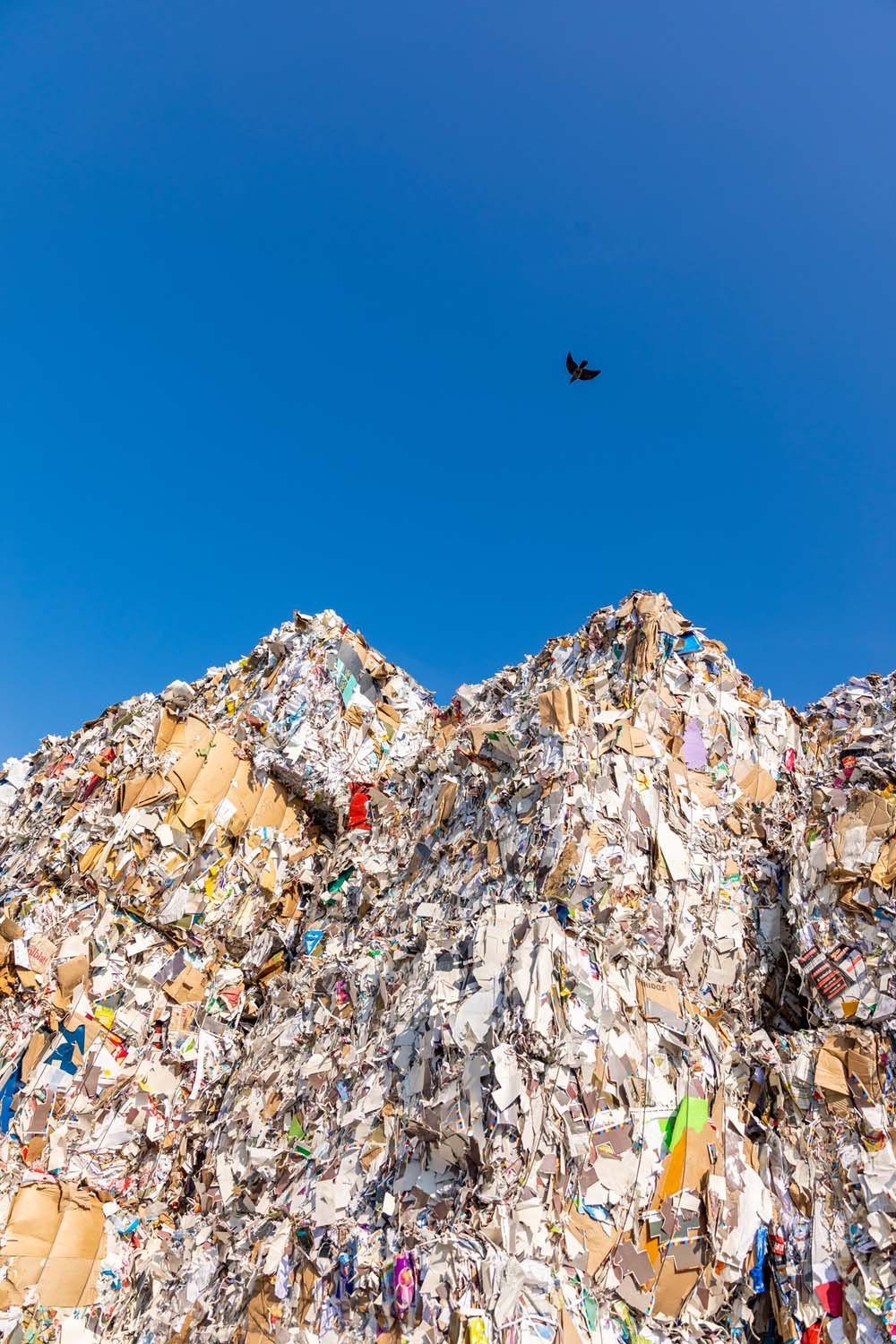 Industriefotografie Bartscherer Recycling Berlin