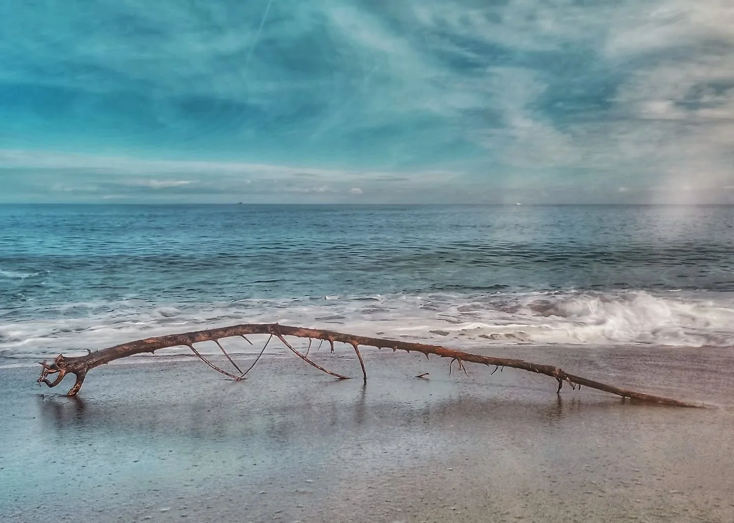De vegades faig fotos amb el m&ograve;bil. 

#hdr #hdrphotography #snapseed #cellphotography #treebranch #horizon #beach #nature #water #ocean #beautiful #sky #clouds #fun #pretty #sand #reflection #amazing #waterfoam #seashore #waves #wave