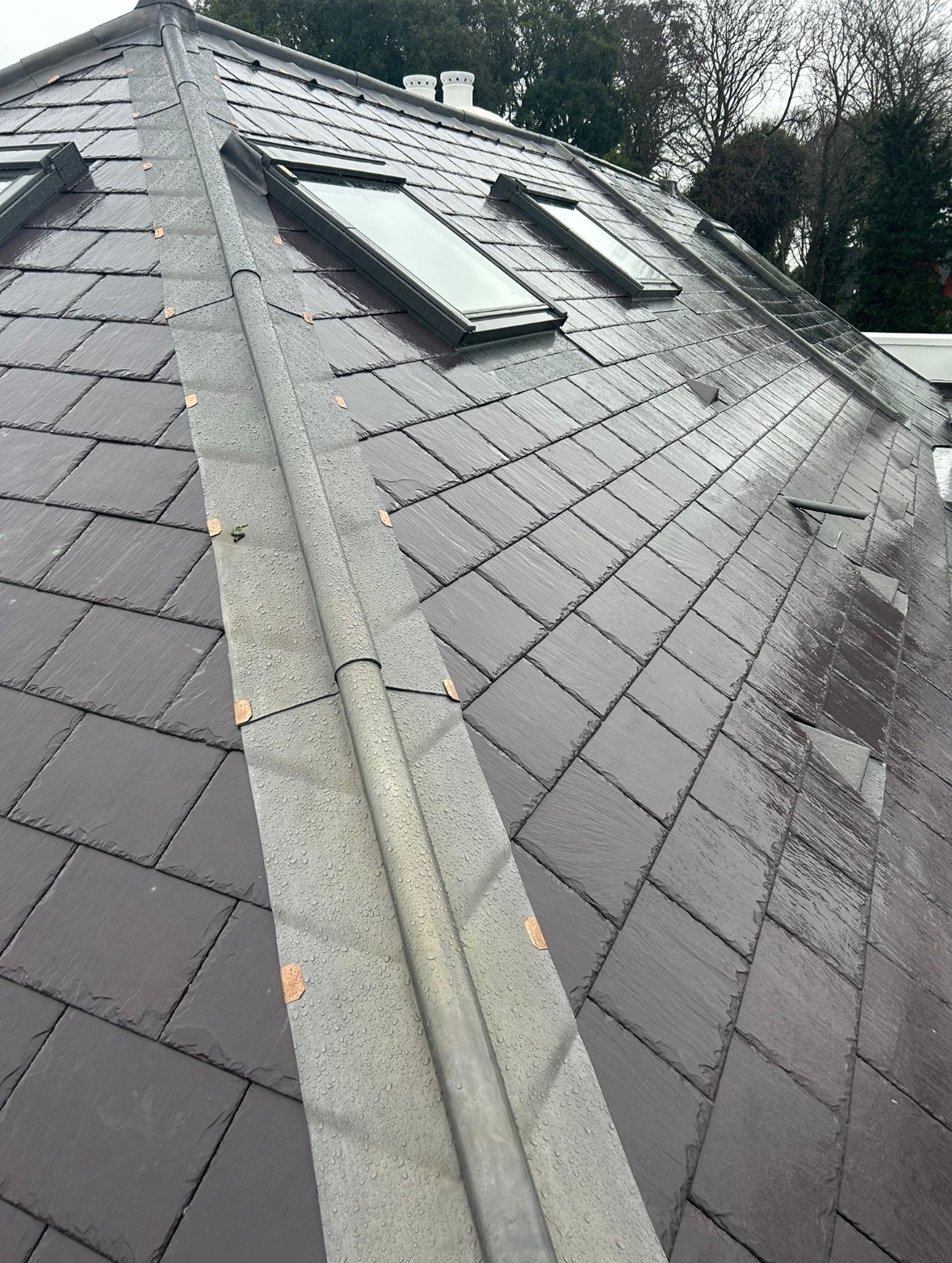 Rain-soaked asphalt shingle roof with two skylights, metal flashing along the ridge, and some wooden blocks used as spacers, with trees in the background.