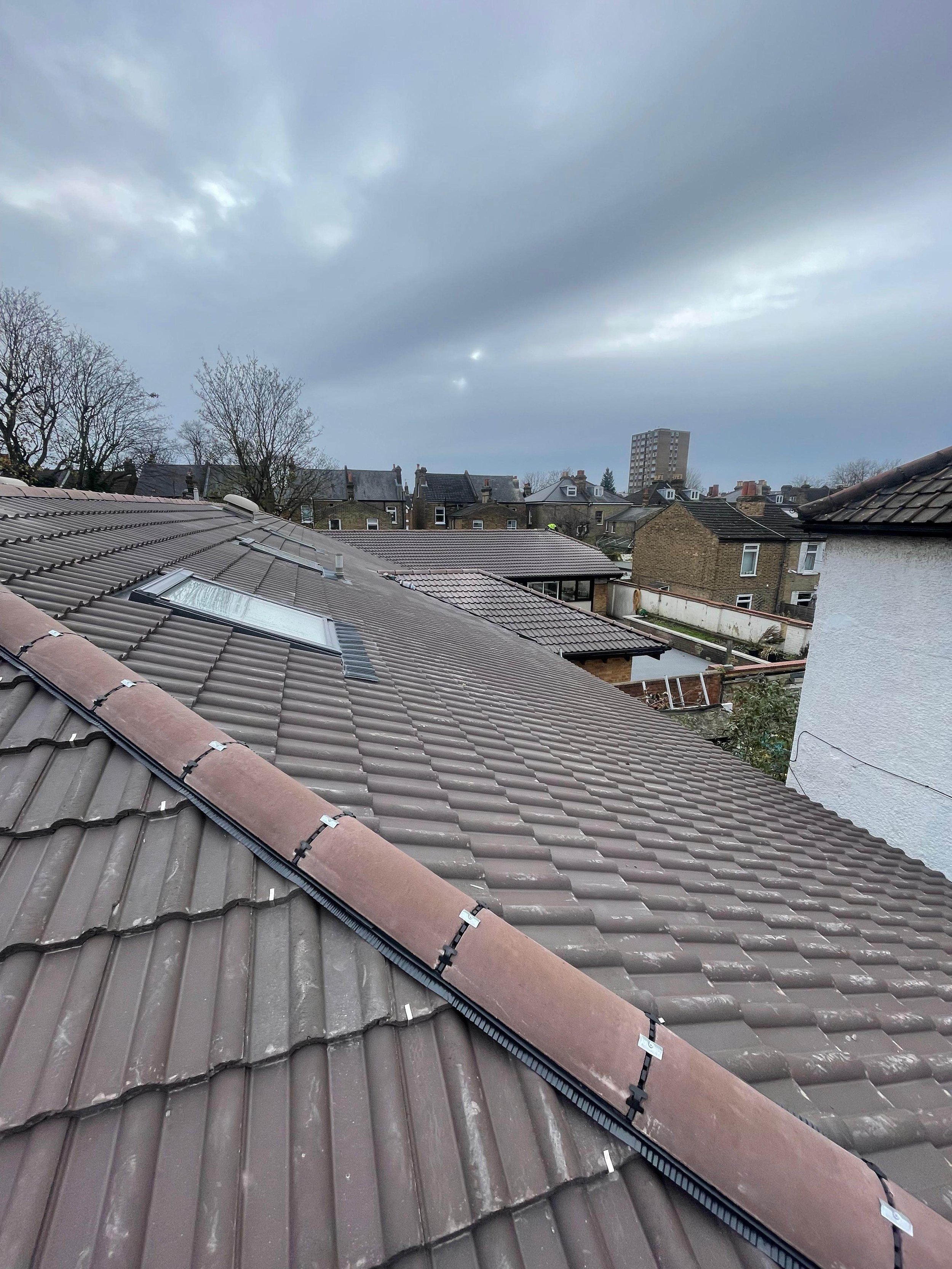 Overcast sky with rooftops of residential houses and a distant taller building in a suburban neighborhood.