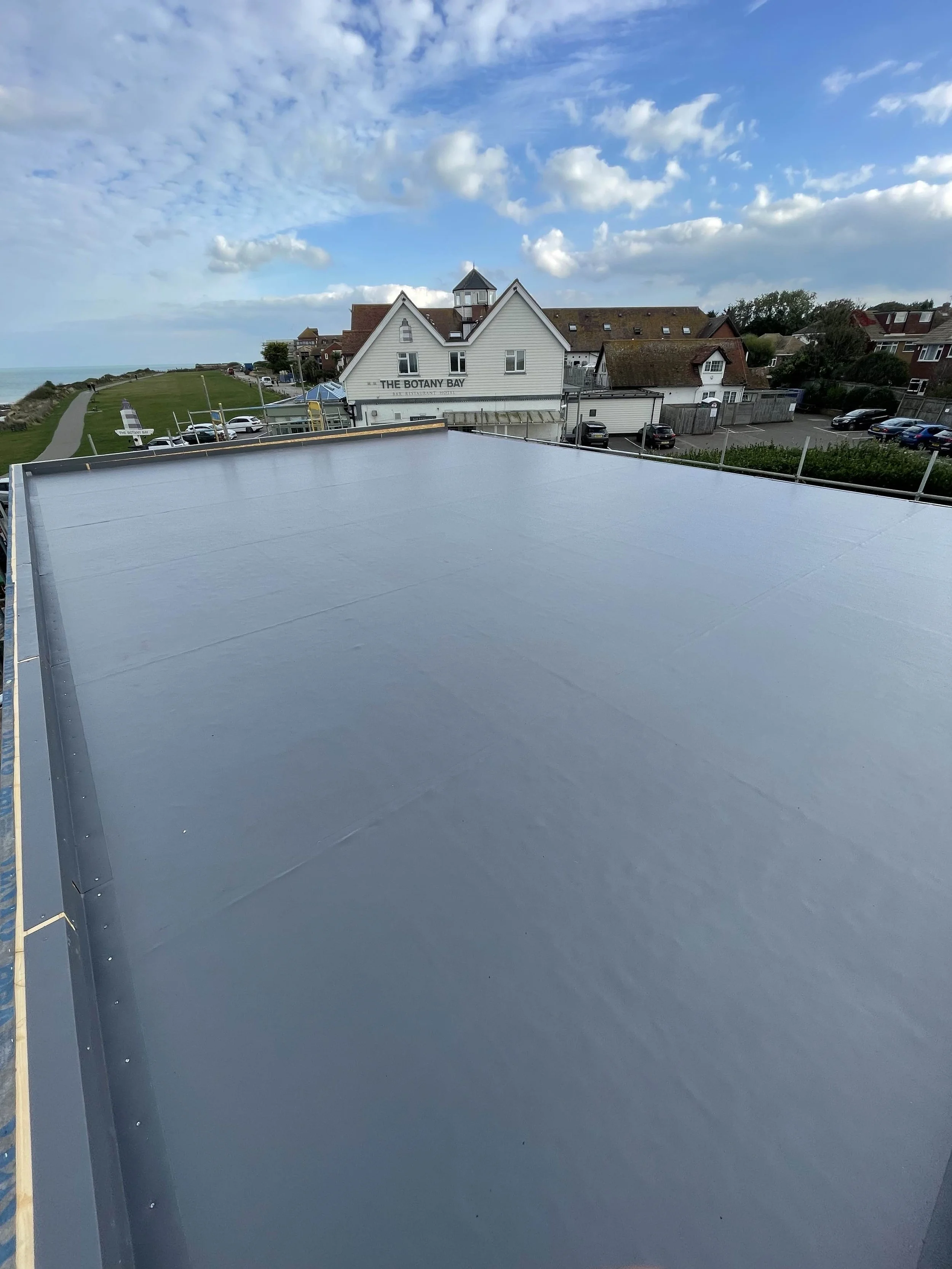 View from a rooftop showing a coastal town with a building labeled 'The Botany Bay,' boats, a grassy cliffside, and a partly cloudy sky.