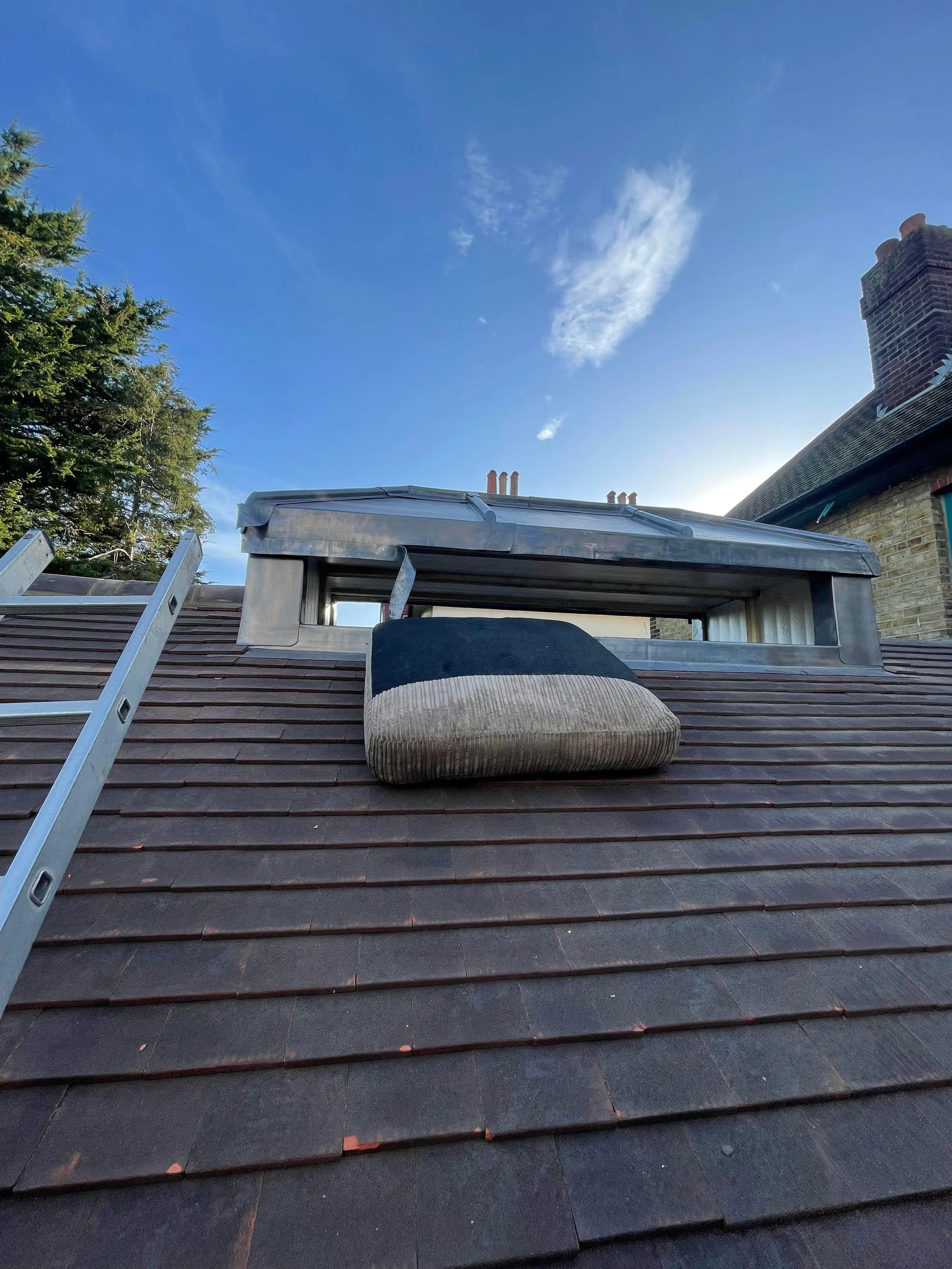 A house roof with shingles, a ladder leaning against it, a small window, and a ventilation structure, with a blue sky and some clouds in the background.