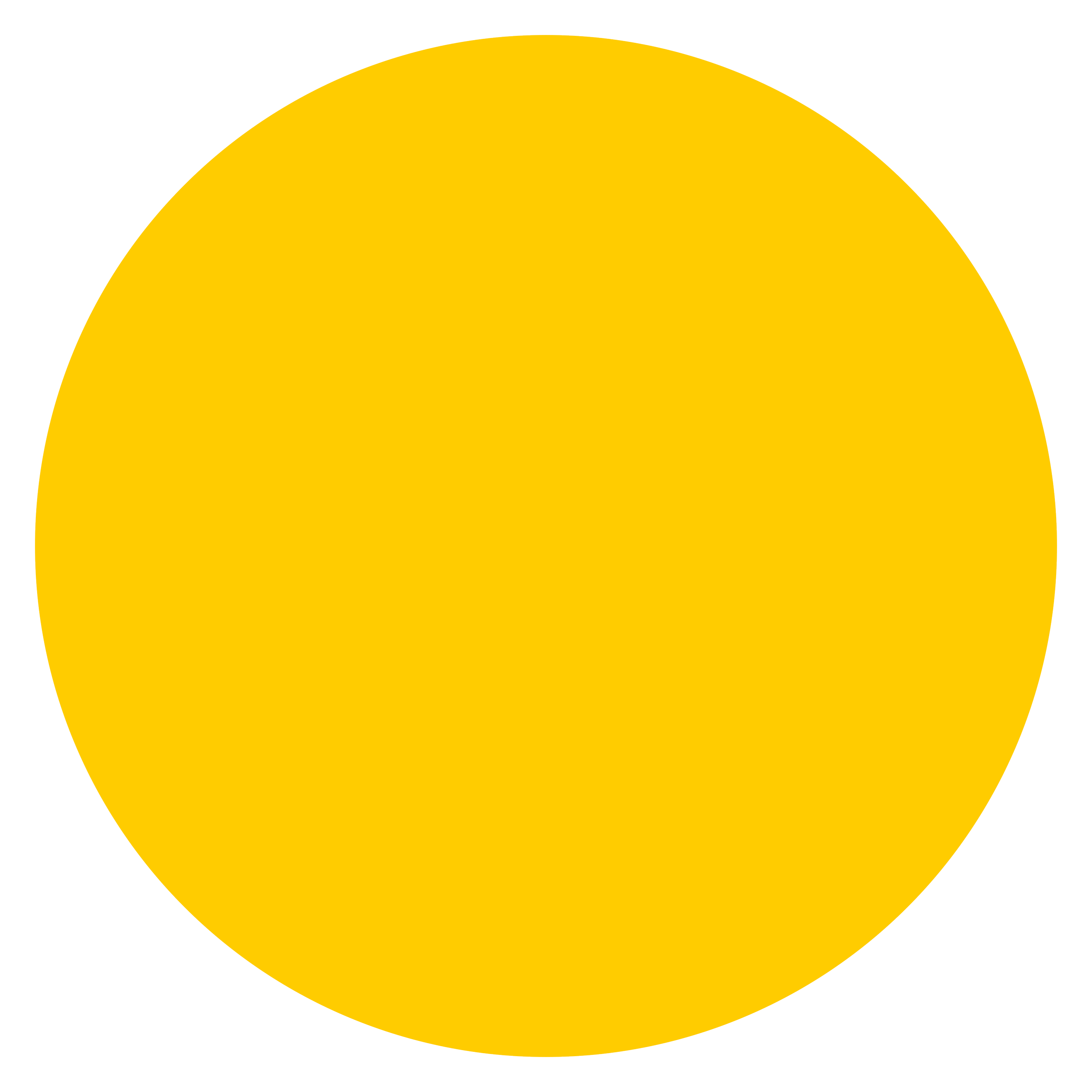 Yellow circle on a black background.