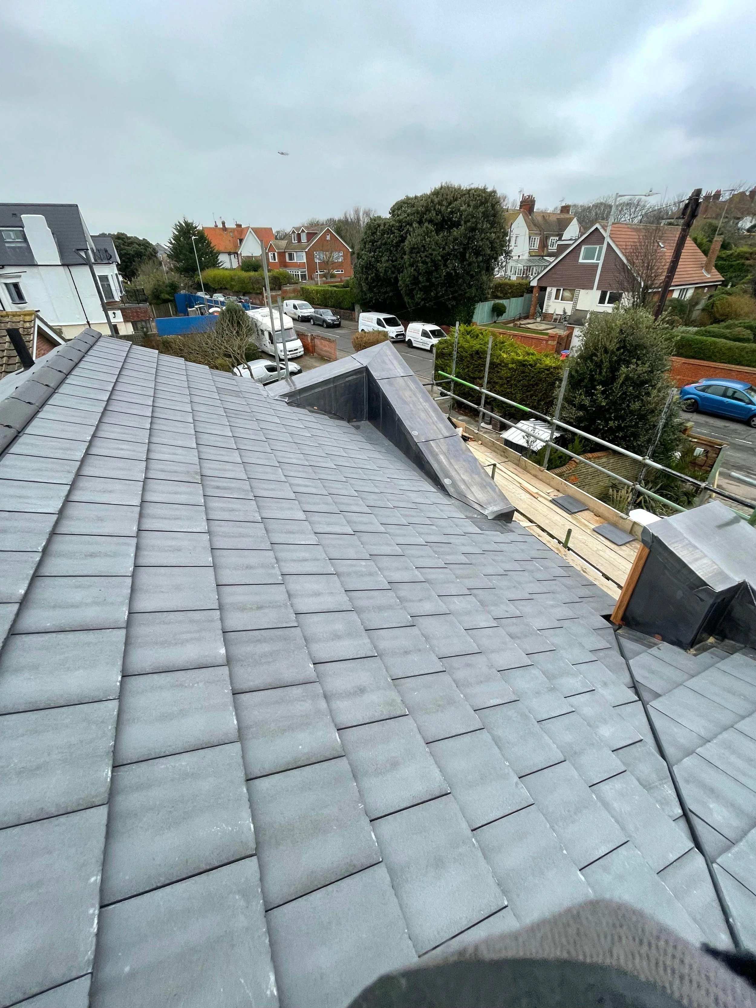 View from a rooftop showing gray tile roofing, a large tree, residential houses, parked cars, and cloudy sky.