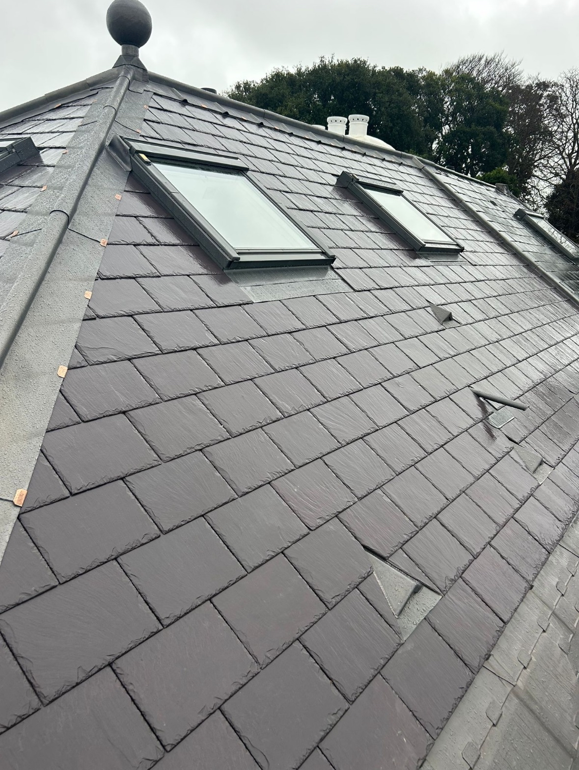 View of a rooftop with dark gray shingles and three skylights, with gray sky and trees in the background.