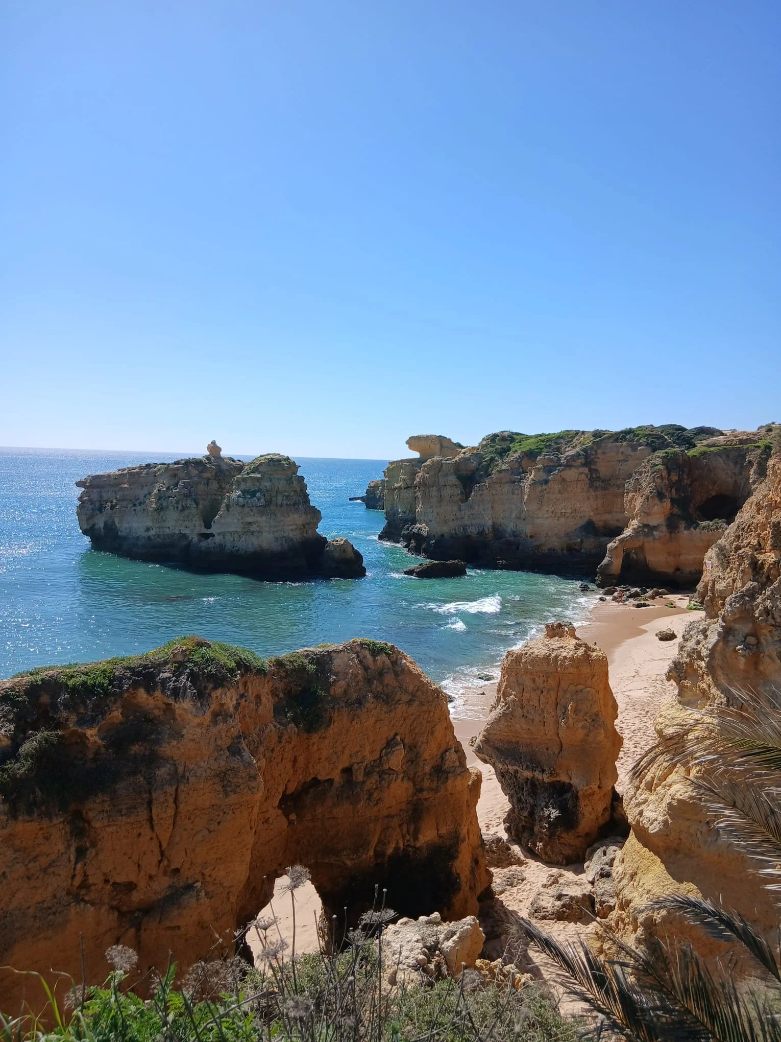 Cliffs overlooking the ocean with sandy beach and clear blue sky, viewed through rocks and vegetation in the foreground.