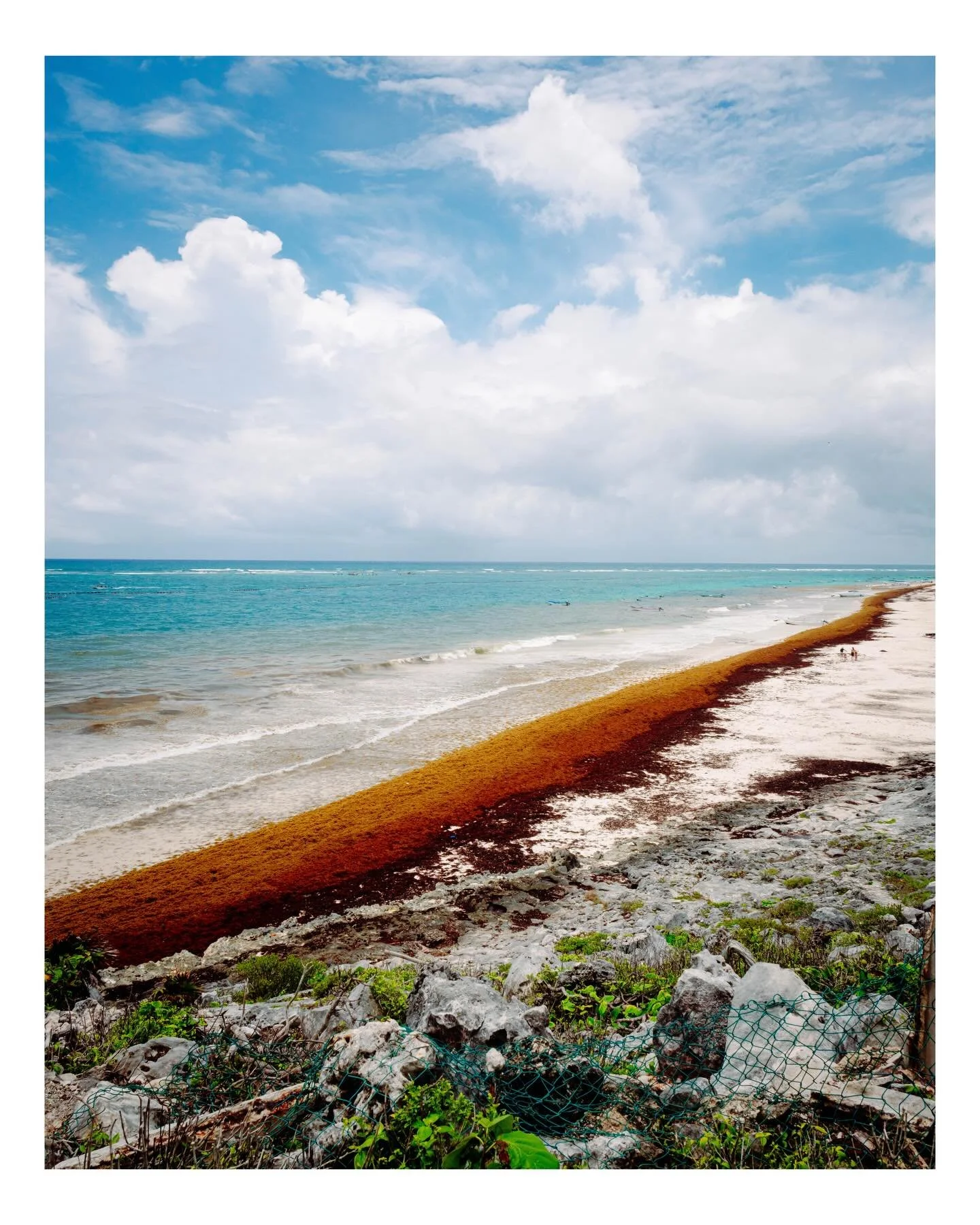 I have a habit of taking photos I really like&hellip; then forgetting they exist🫠
Here&rsquo;s a photo dump from from a 2021 mexico trip📸 

#mexicophotos #wilflifephotography #nikonphotographer #fujifilmphotography