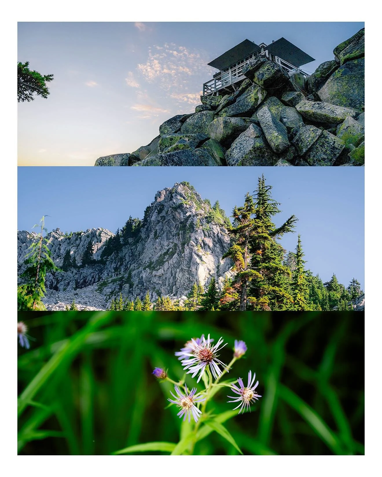 If you don&rsquo;t like spiders&hellip; there&rsquo;s a lil jump scare at the end🕸️👀📸 #mtpilchuck #mtpilchucklookout #nikonphotographer #naturephoto