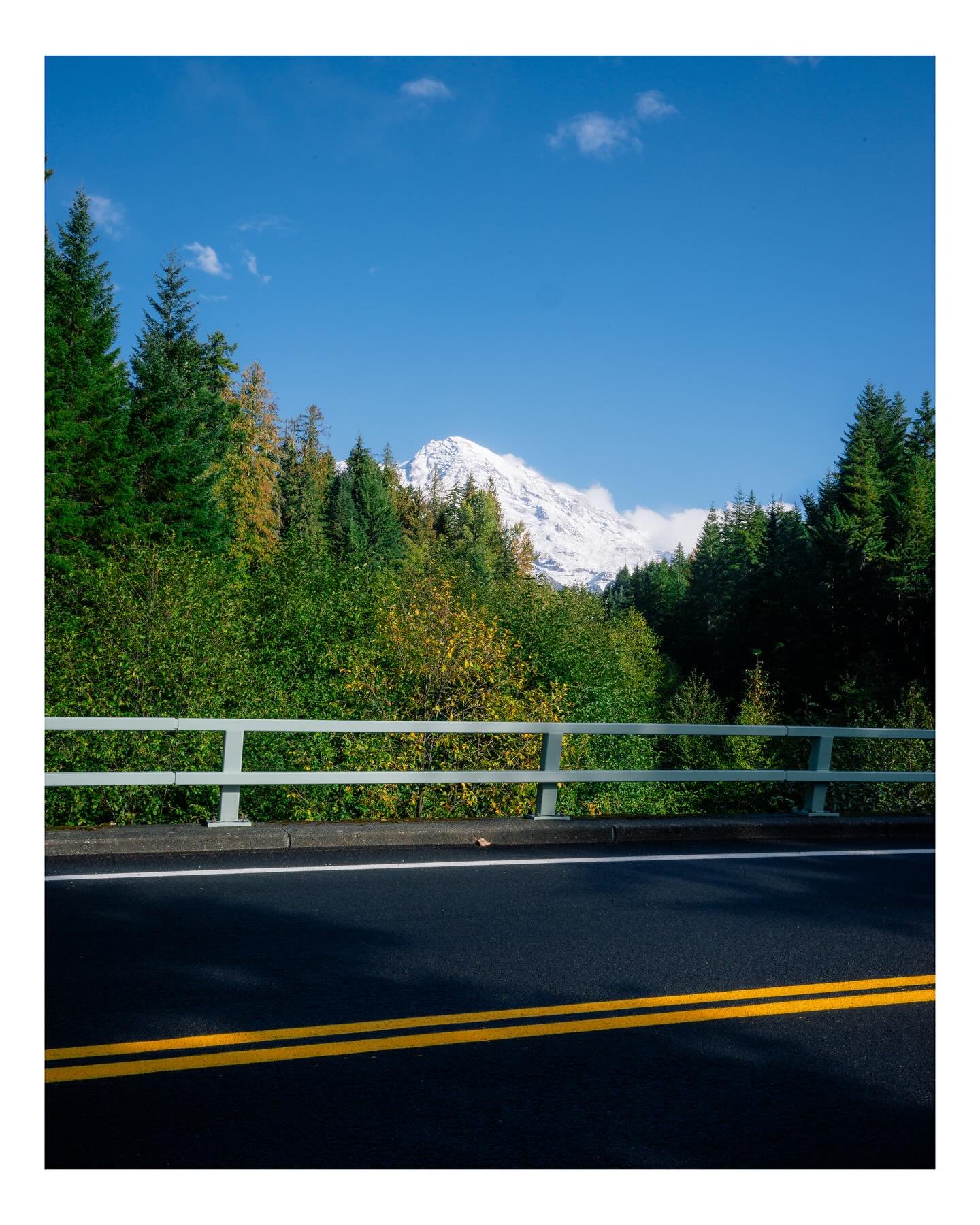 Mushroom hunters!🍄&zwj;🟫📸 #nikonphotographer #seattlephotographer #mountrainiernationalpark