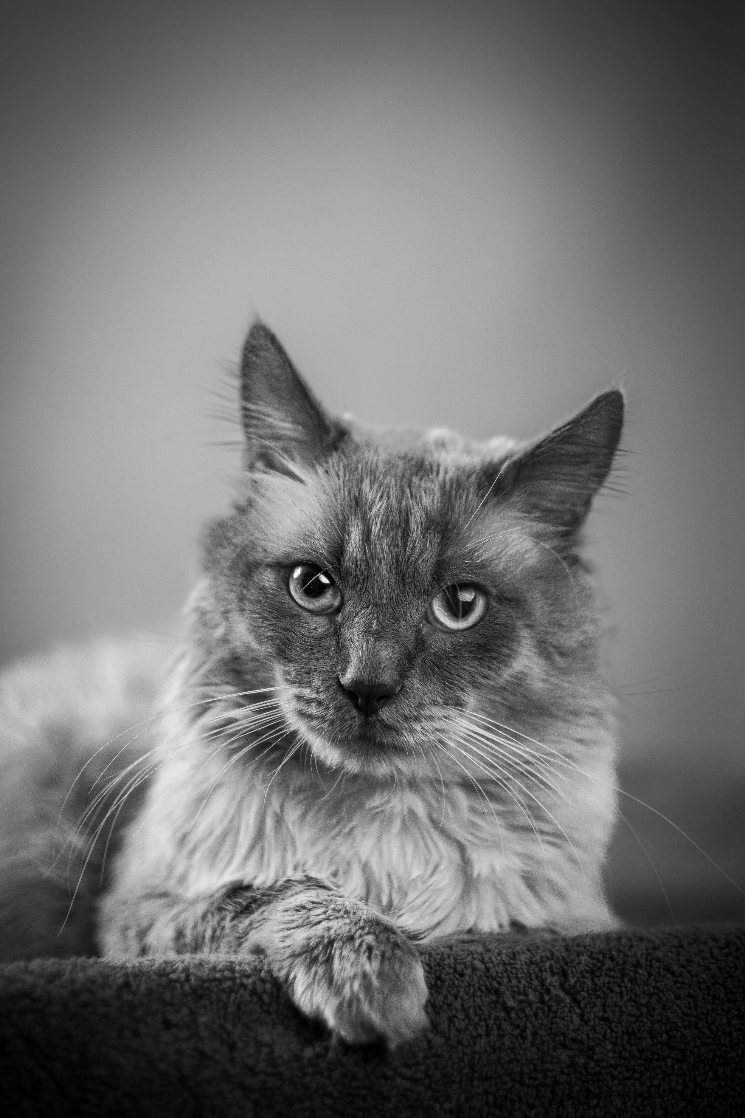 DSCF5590.jpg