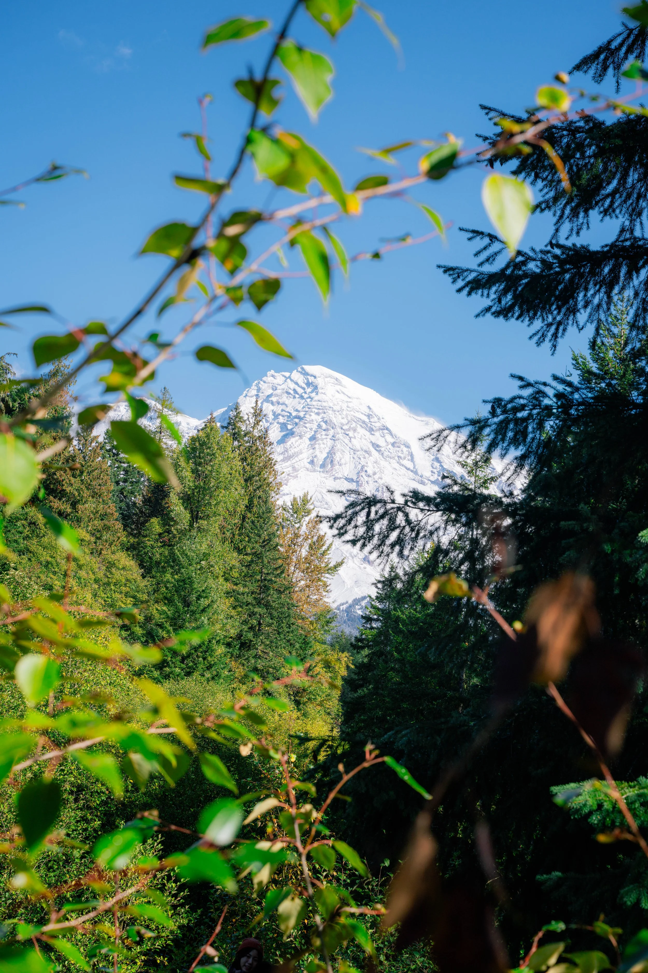 DSC_3291.jpg