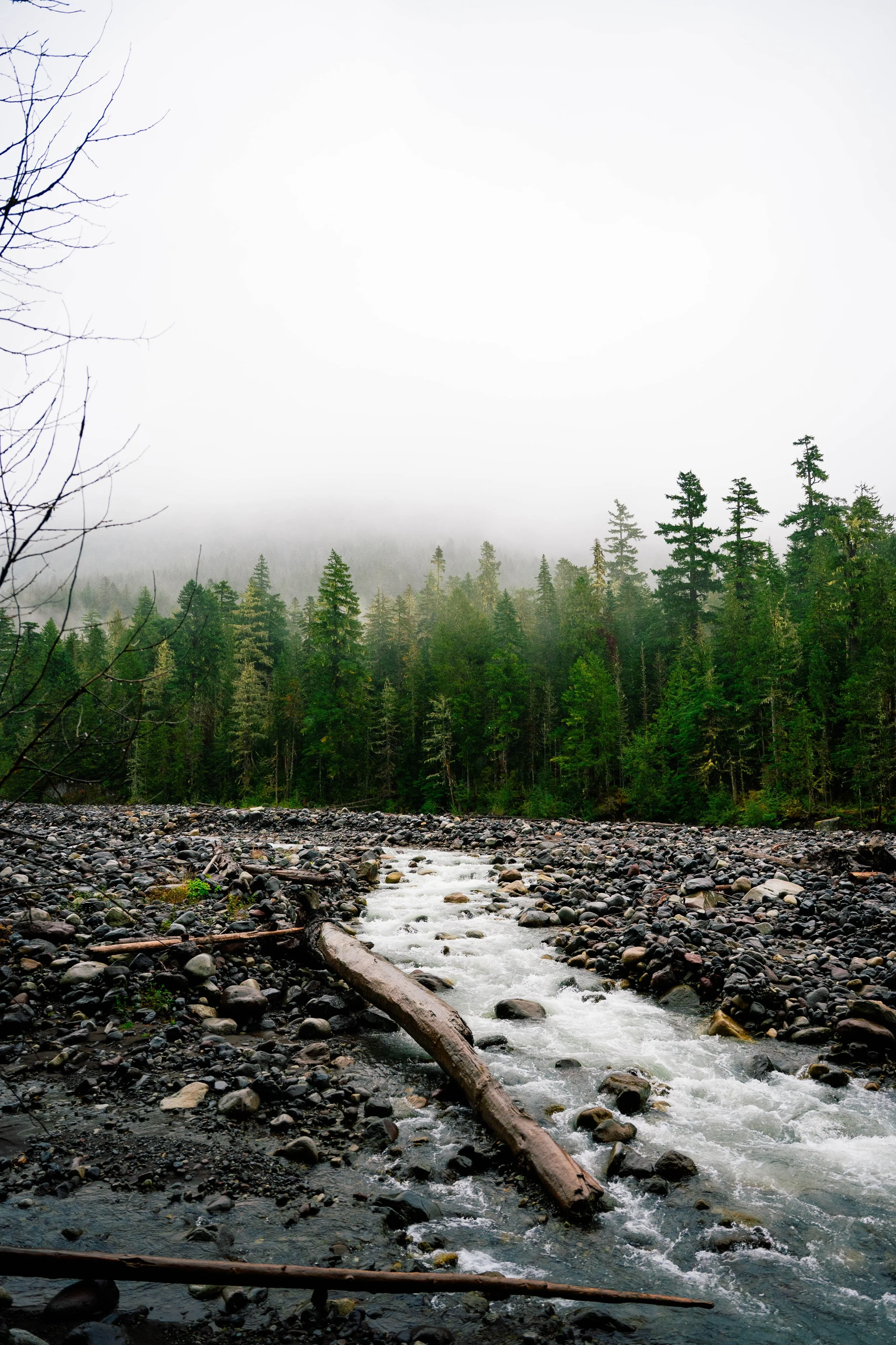 DSC_2835.jpg