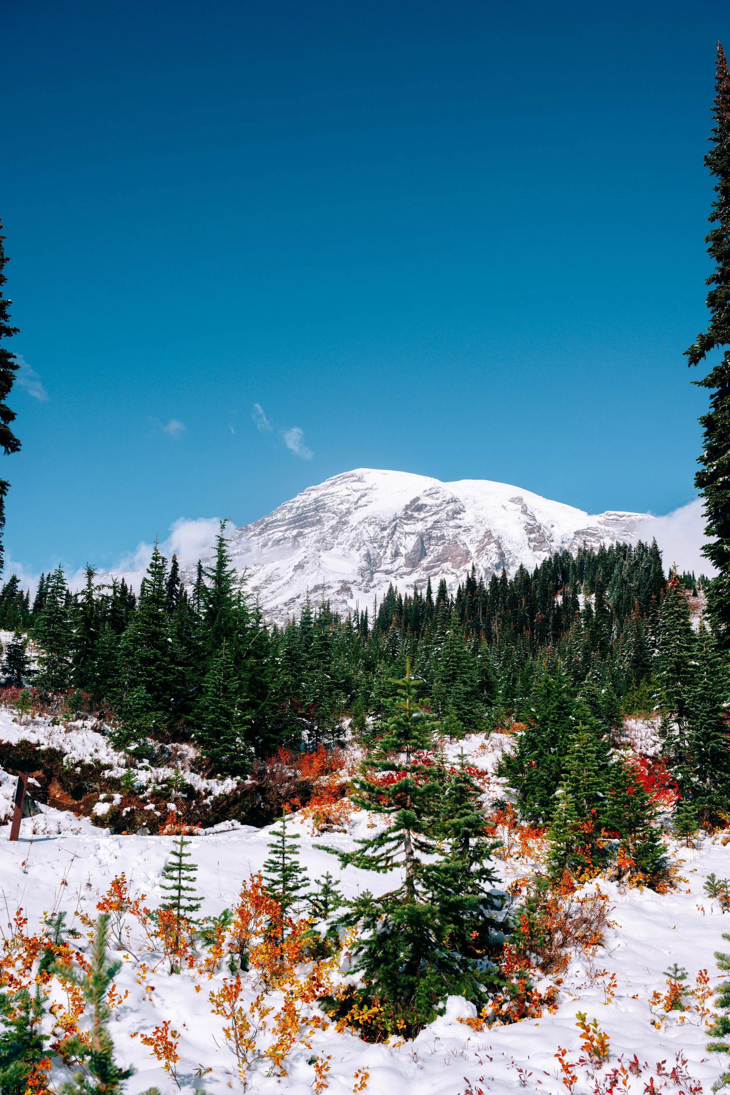 DSC_3552.jpg