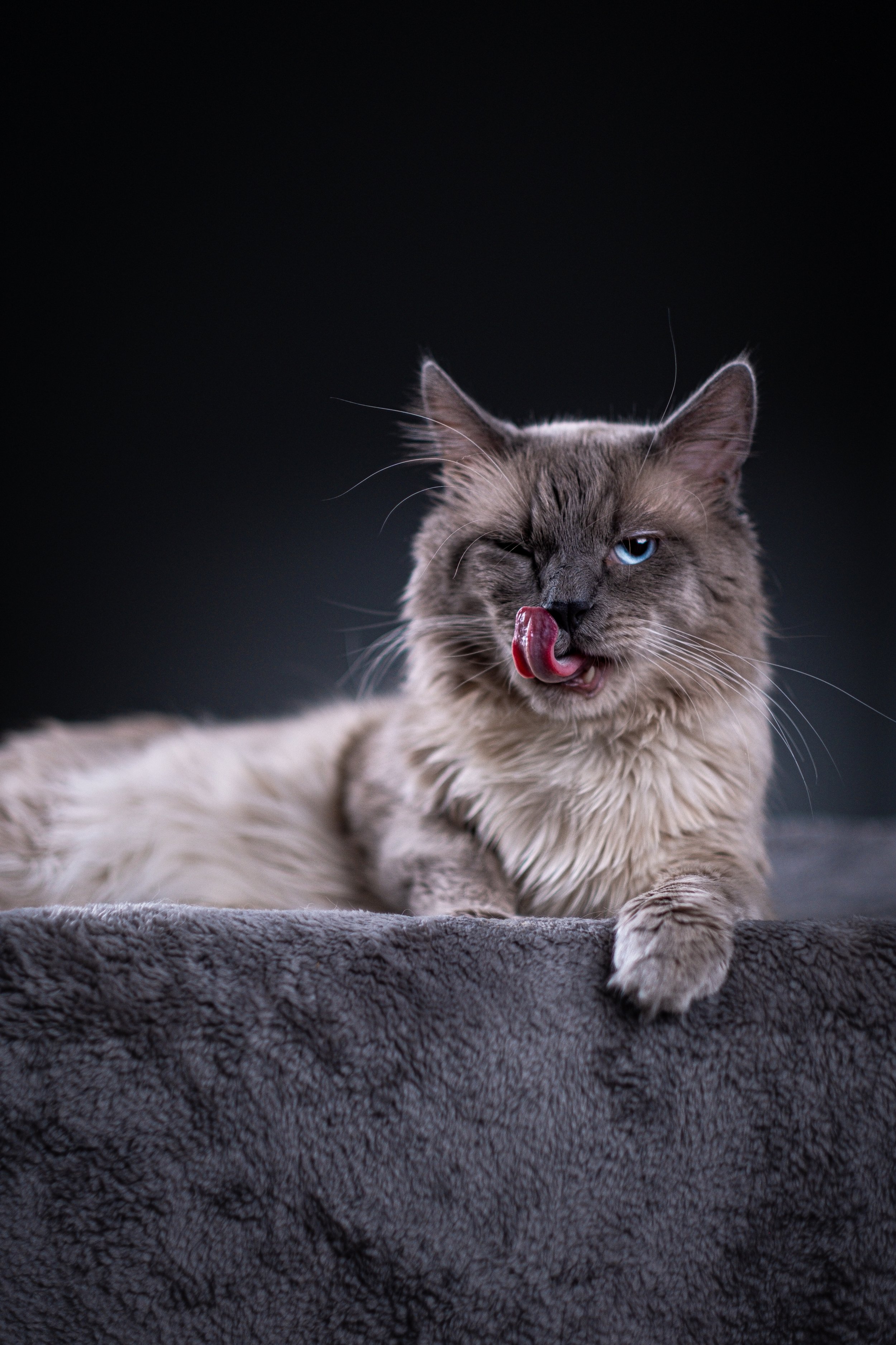 DSCF5951.jpg