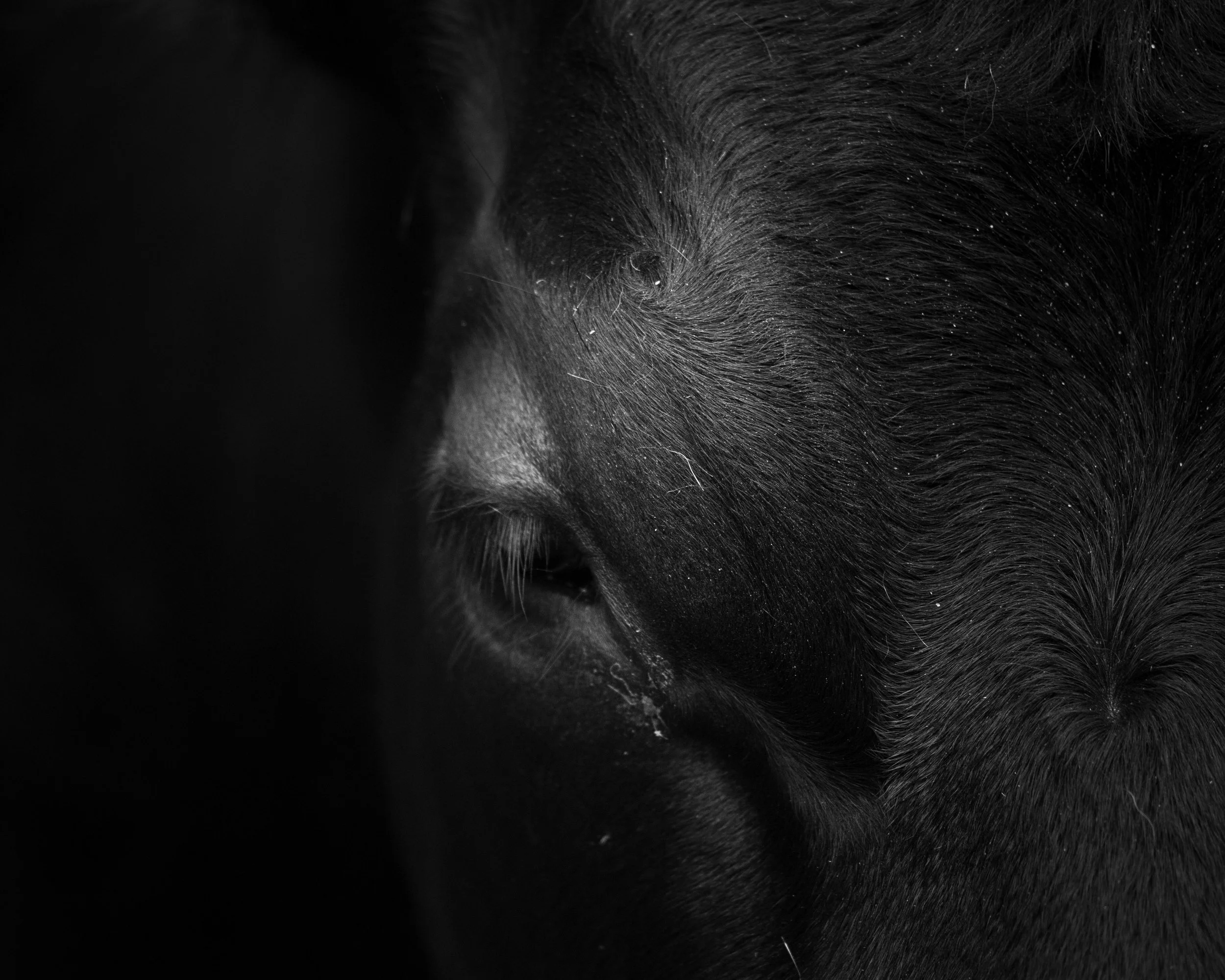 web photos  (1 of 1)-6.jpg