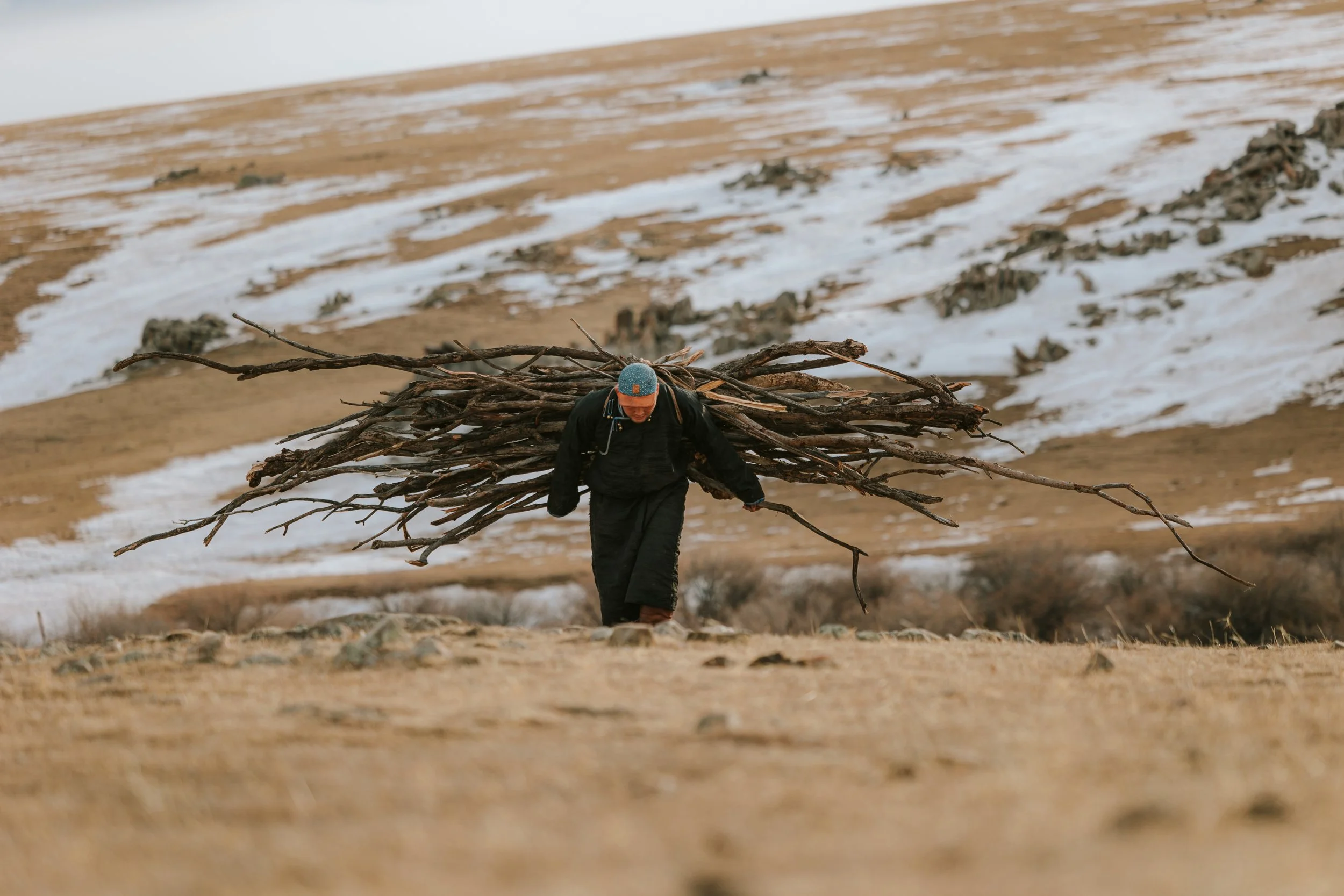 Un homme portant un chapeau bleu transporte un grand tas de branches en marchant sur un terrain rocailleux avec de la neige sur une montagne en arrière-plan.