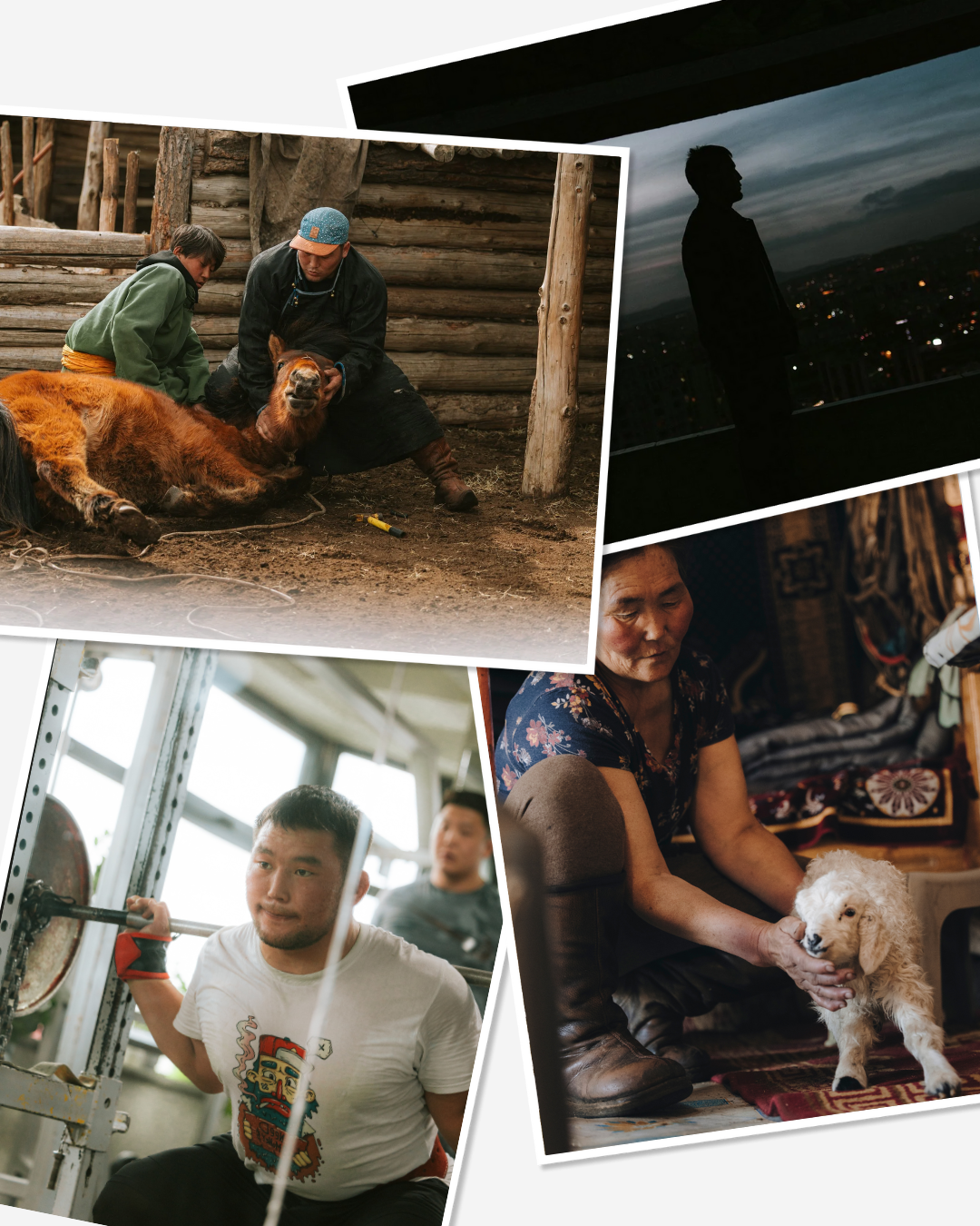 Delphine_Daniélou_gardien de l'ame mongol_0007.png