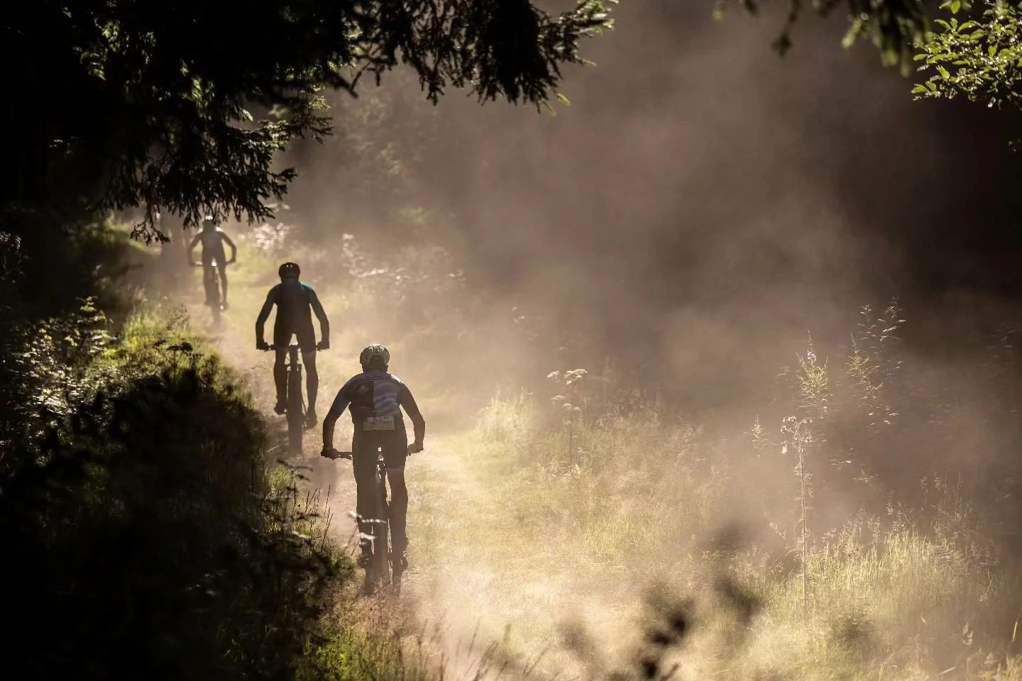 Quatre cyclistes portant des casques et des vêtements de sport, faisant de la randonnée à vélo à travers un sentier boisé en milieu naturel, avec de la poussière en suspension dans l'air