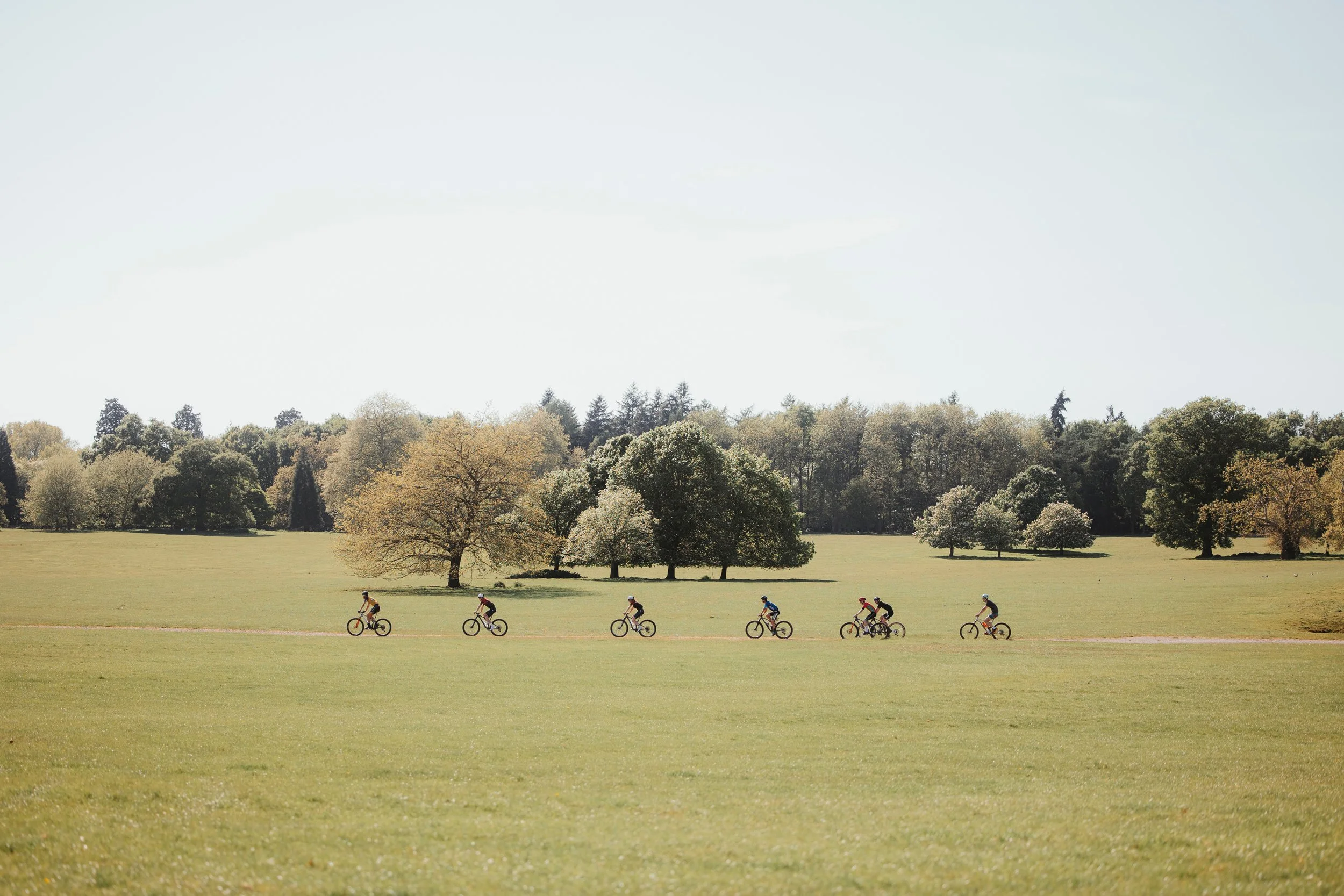 Groupe de cinq personnes faisant du vélo dans un parc avec des arbres et une grande étendue d'herbe.
