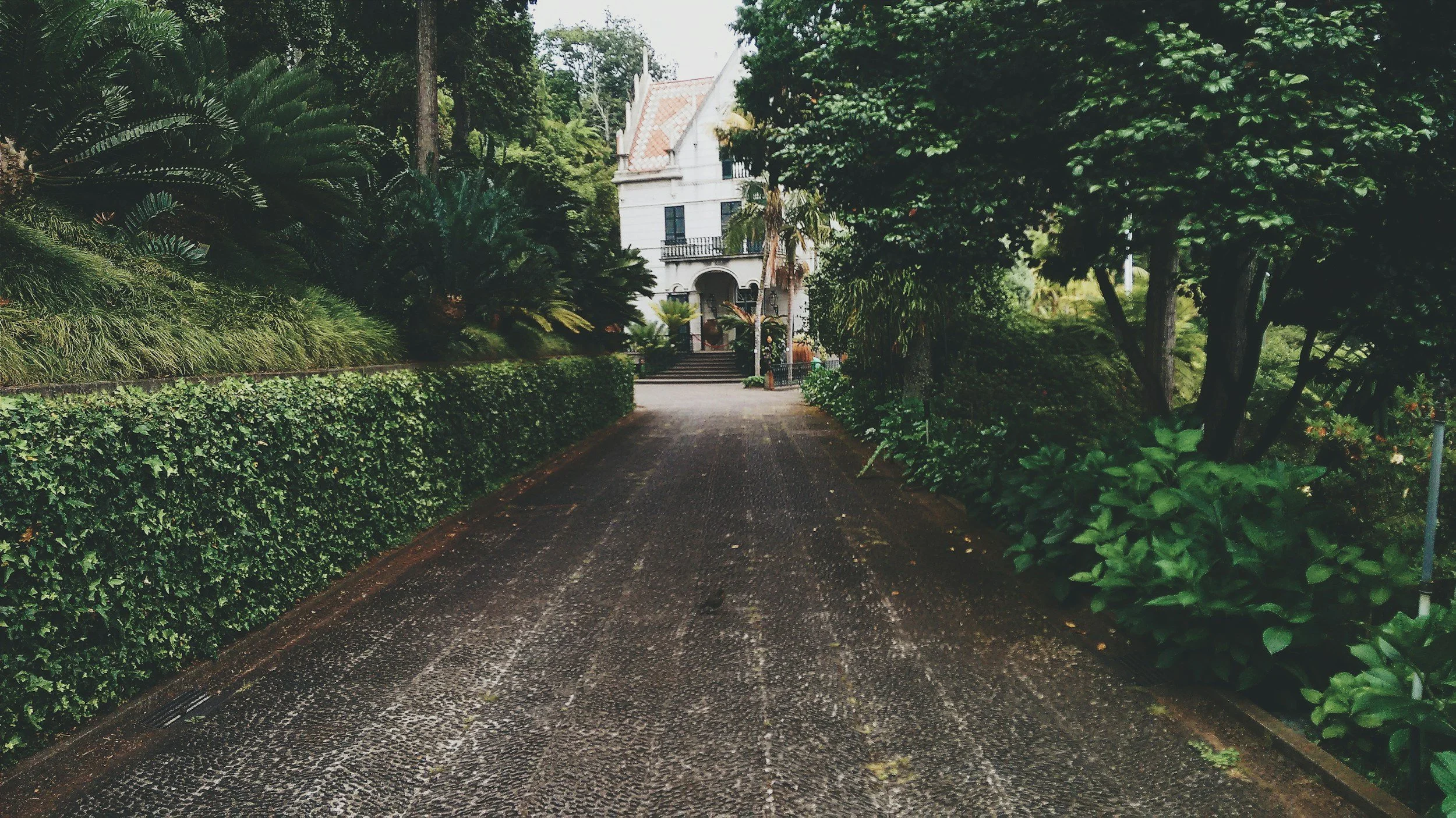 A narrow driveway leading to a white multi-story house with a tiled roof, surrounded by lush green trees and bushes.