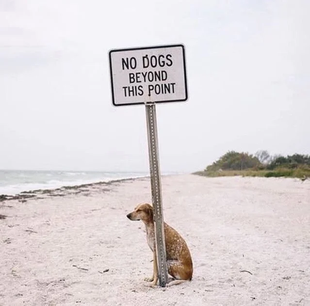 TRANSFORMATIONAL TRANCE