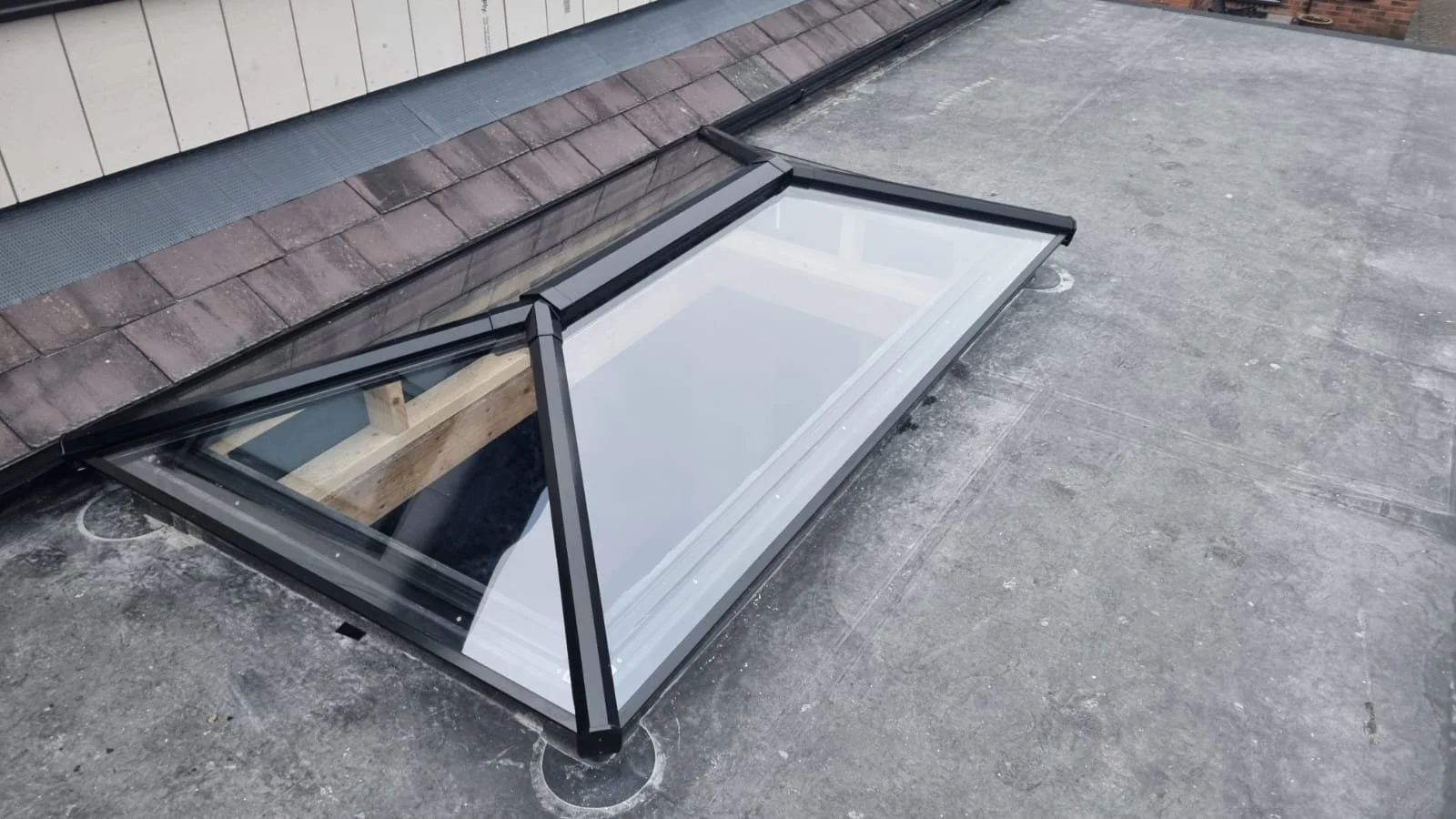 WhatsApp Image 2026-02-06 at 15.14.21.jpeg