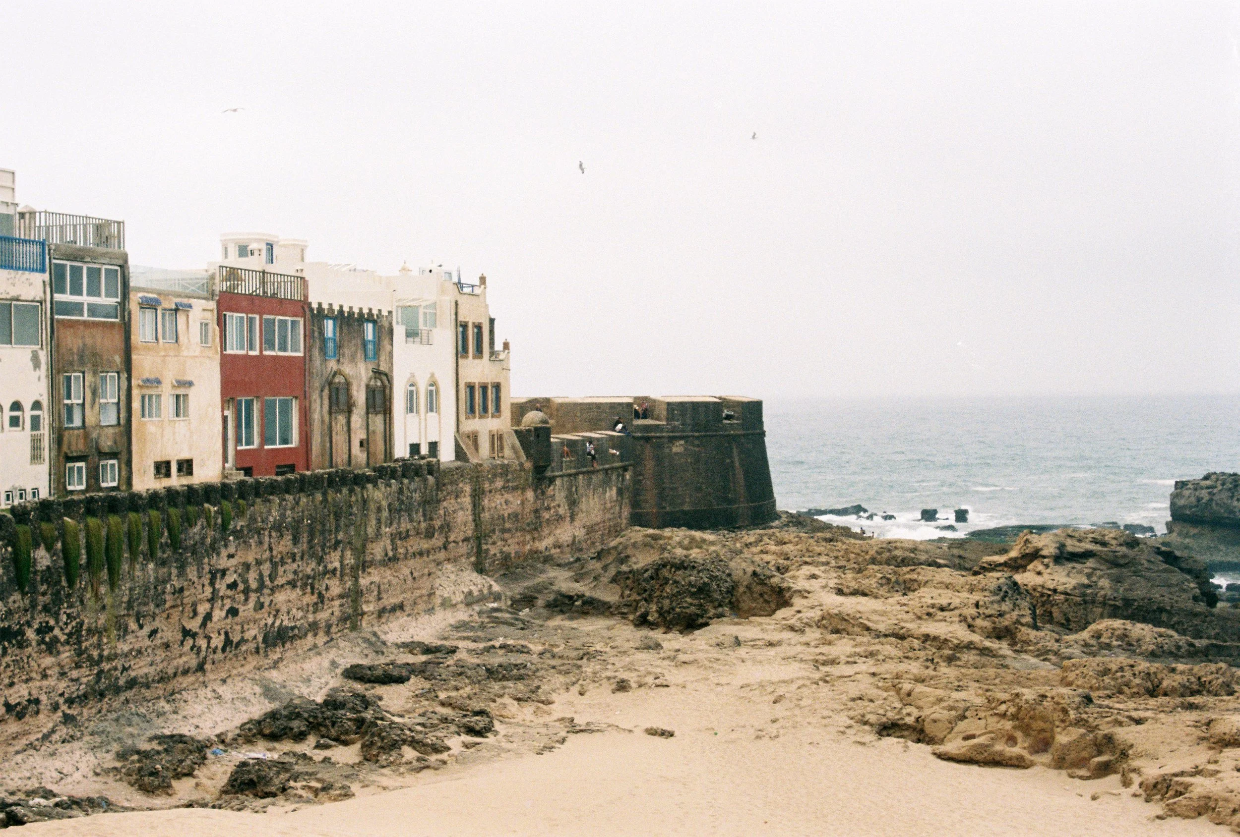 R1-08061-0015.JPG