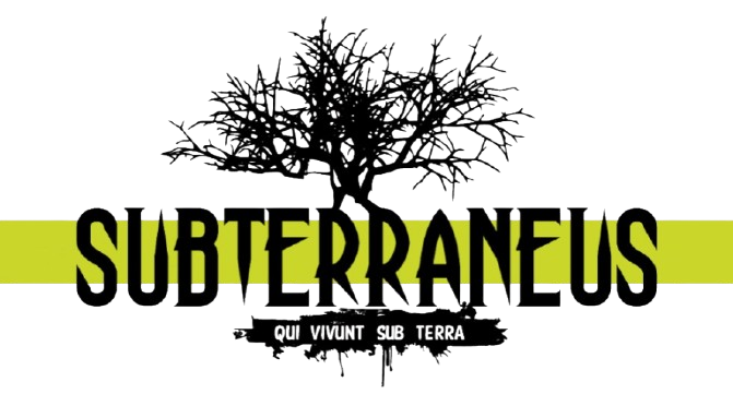 Subterraneus Inc