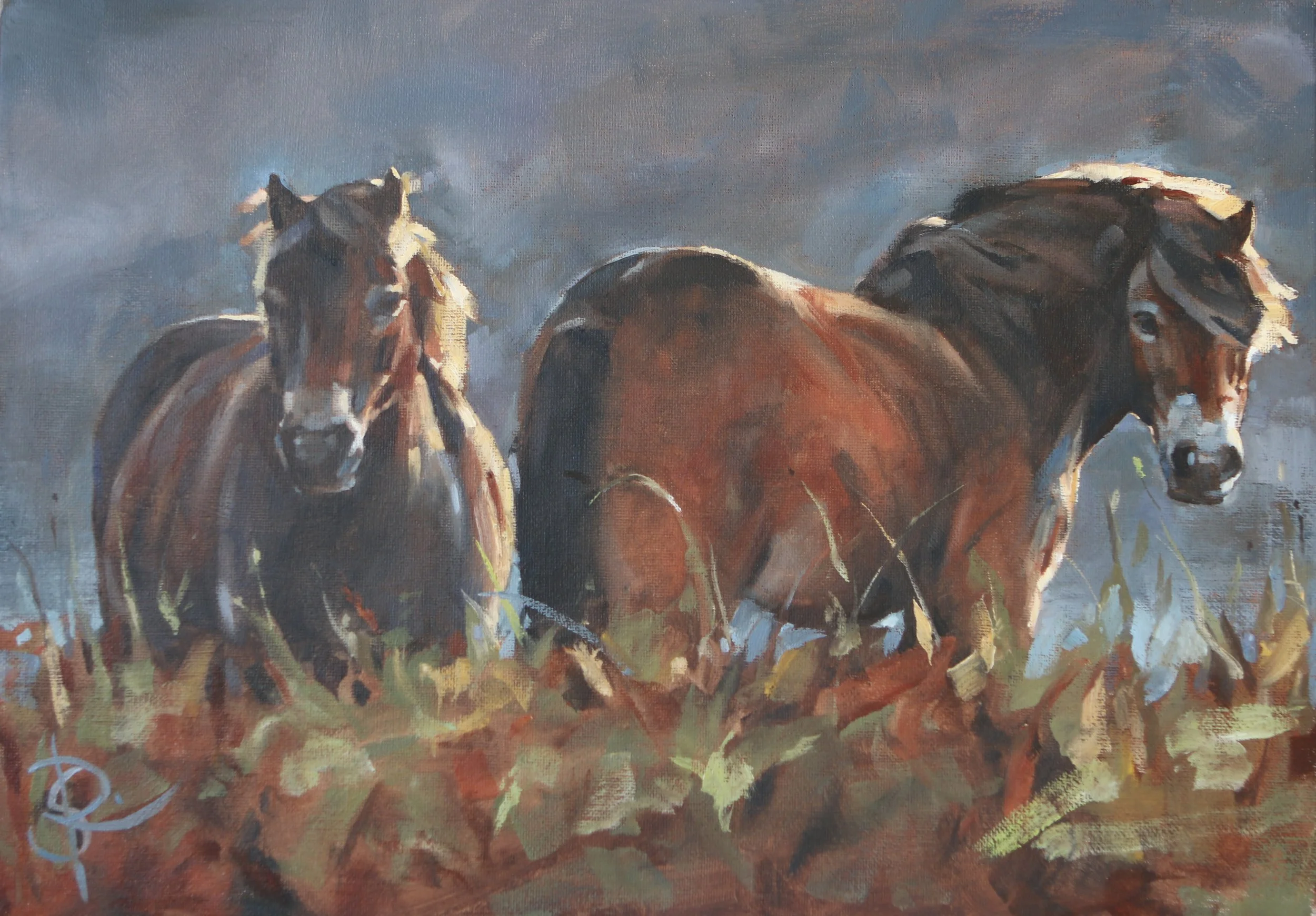 Last Light at Landacre - A3 oil on board - sold