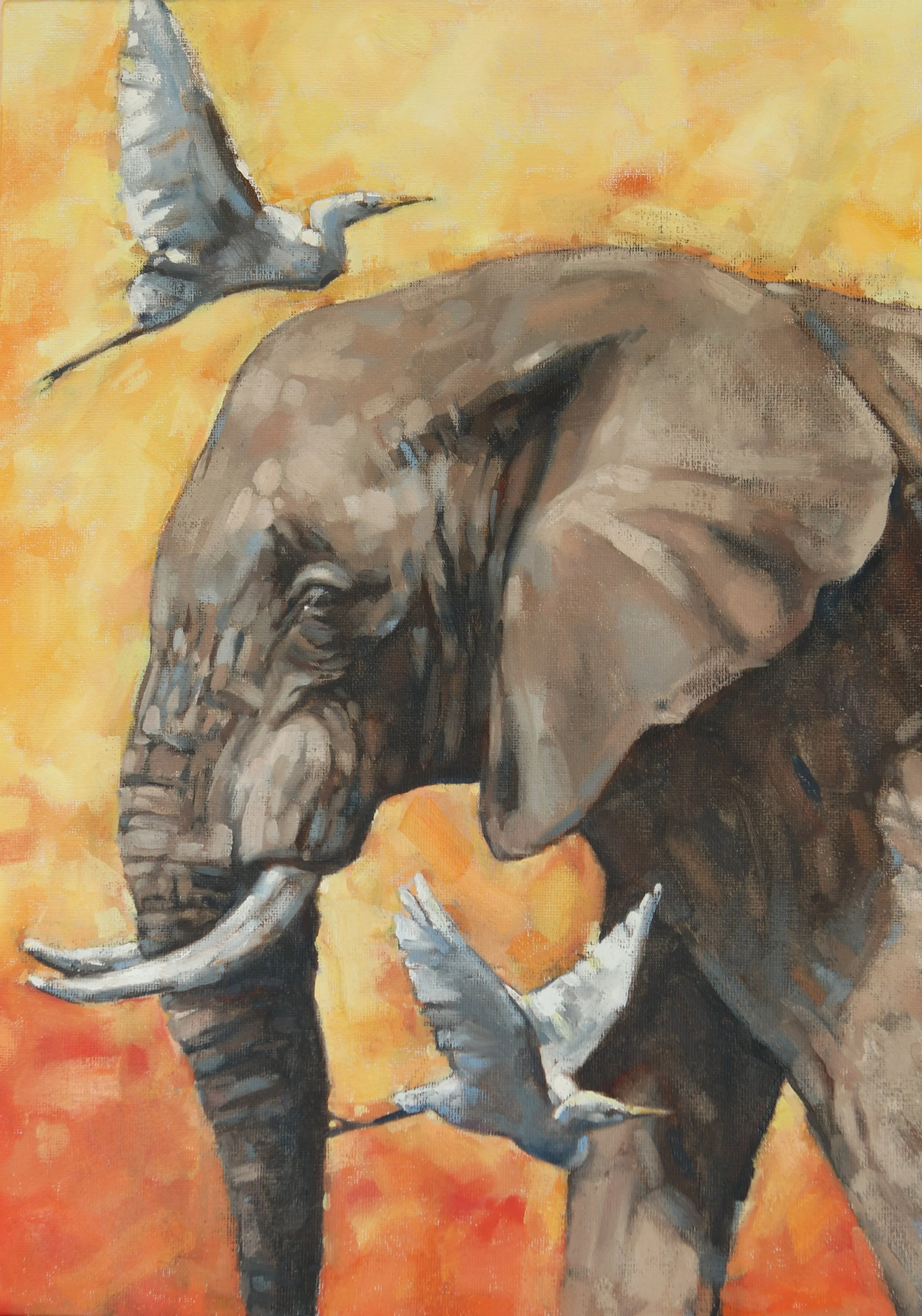 Keystone - Sketch for Survival 2025 - A3 oil on board - sold
100% proceeds to conservation