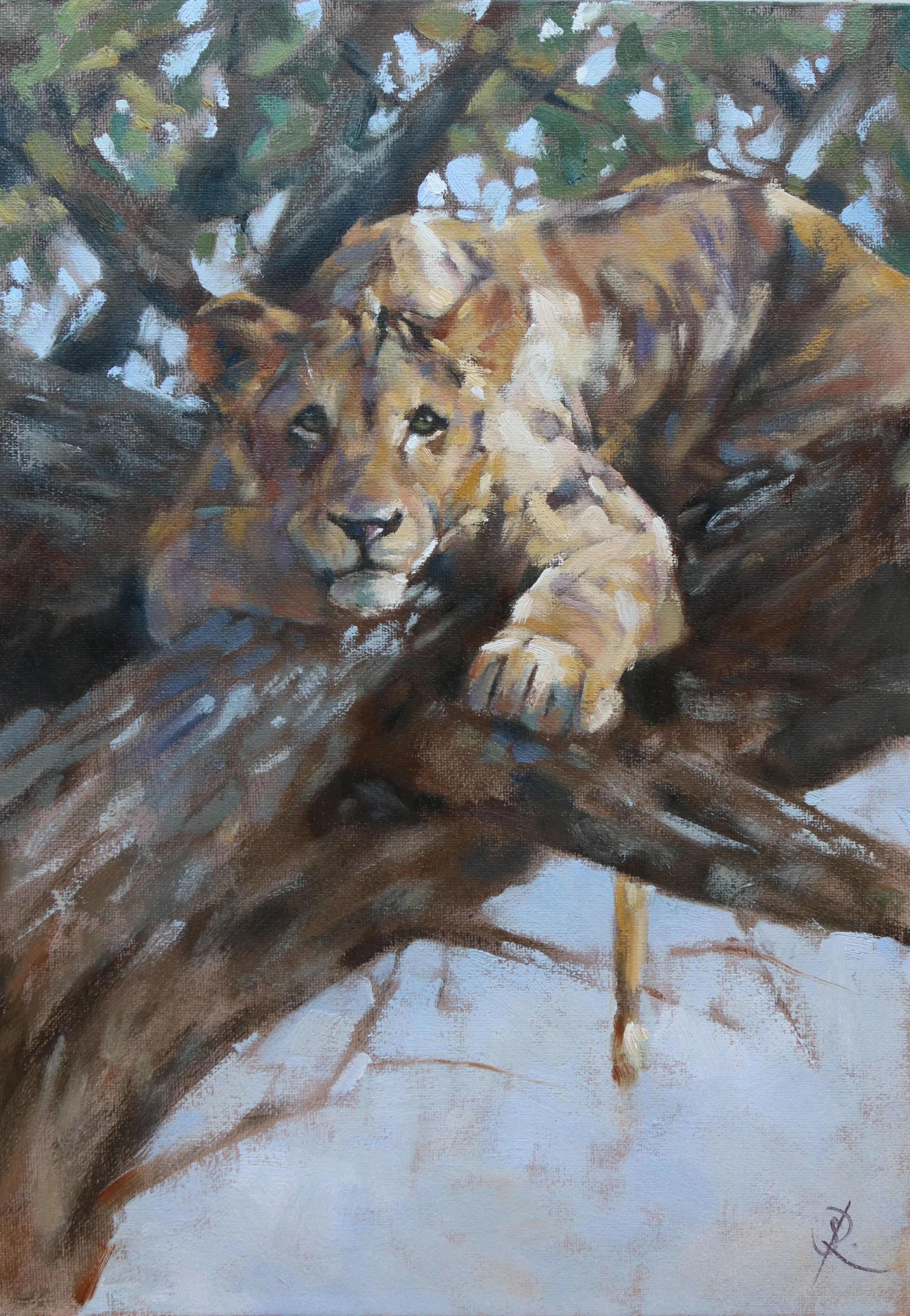 Look Up - The Artist Award winner - Sketch for Survival 2024 - A3 oil on board - sold 
100% proceeds to conservation