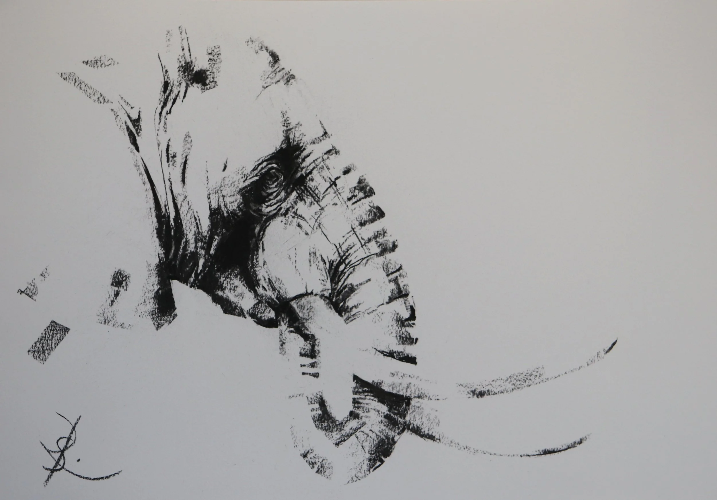 Tusker - A2 charcoal - not currently available