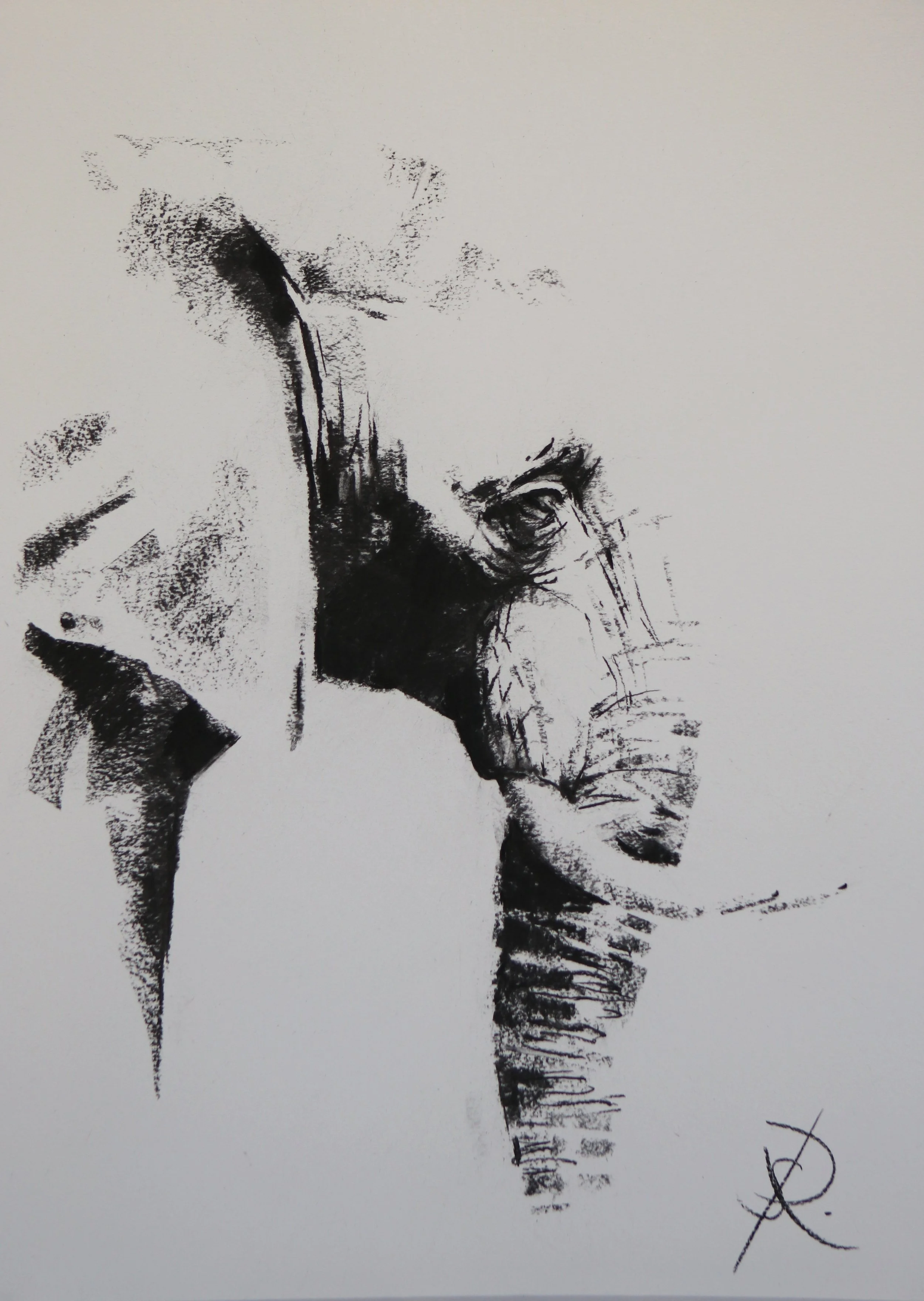 Vanishing Giant - A2 charcoal - not currently available