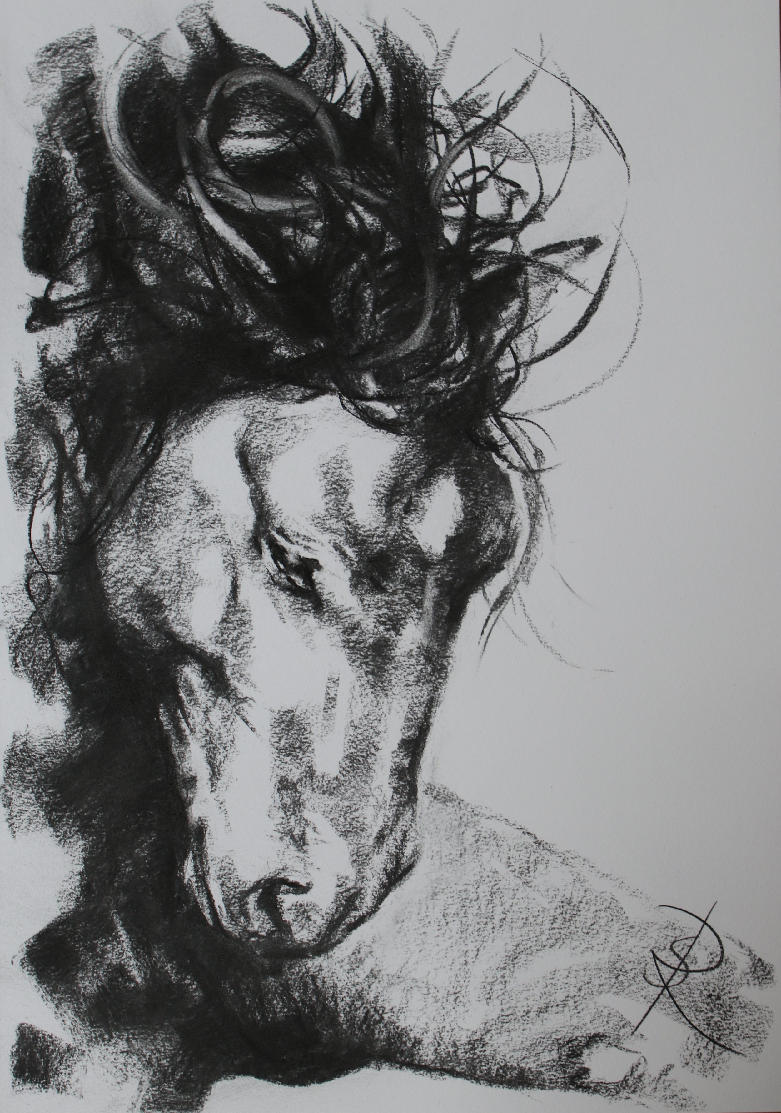 Stamp - A2 charcoal - available - £325 framed