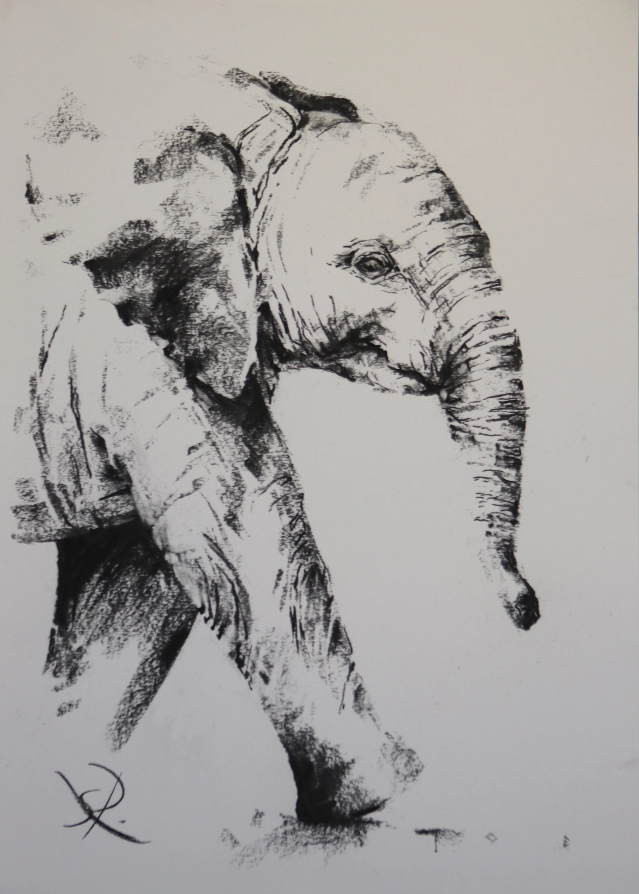 Hope - A2 charcoal - not currently available