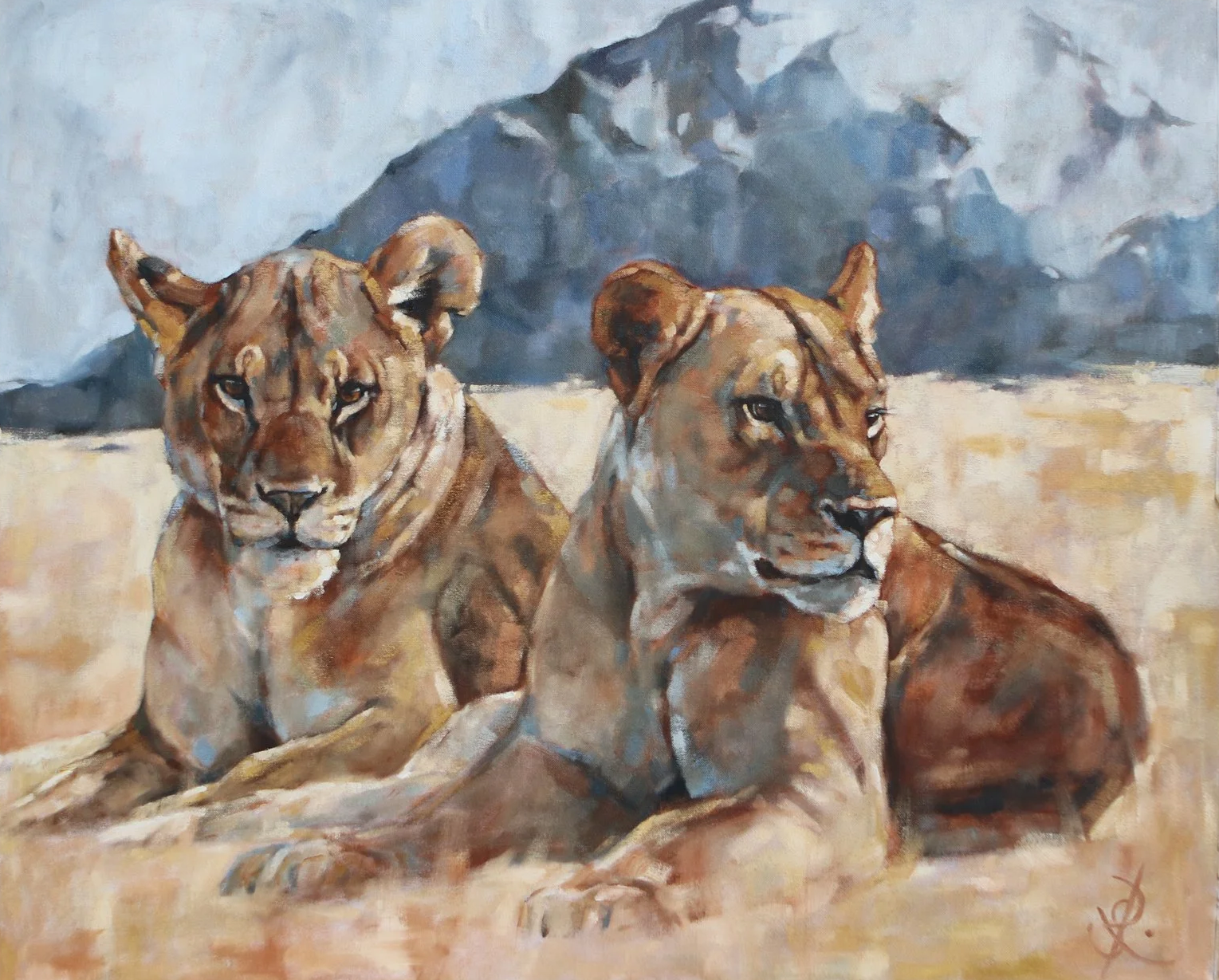 Lolldaiga Lionesses - 80x70cm oil on canvas - available £1200 unframed
Painted in Lolldaiga Hills, Kenya